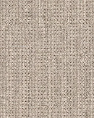 Sun Bleached 00110.JPG