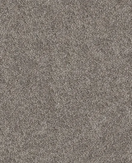 Hammerhead 00512.JPG