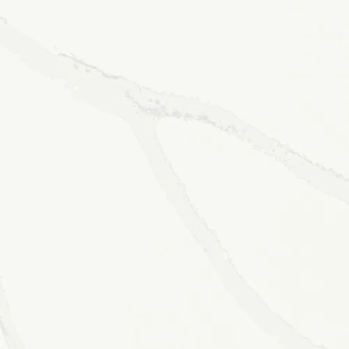 p5 statuary unity.jpg