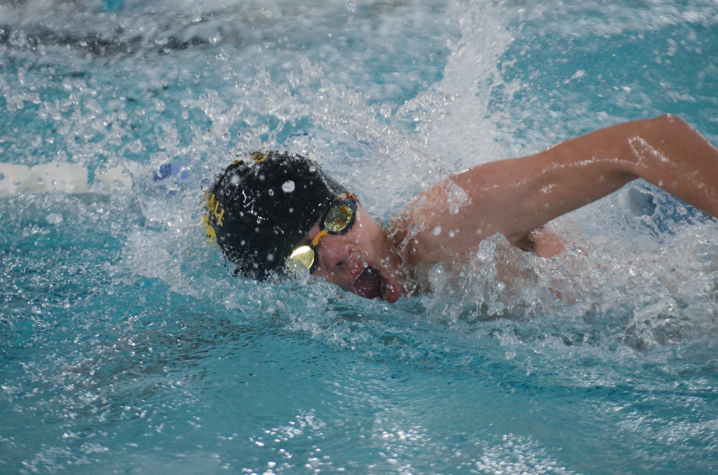swimming-0634.jpg