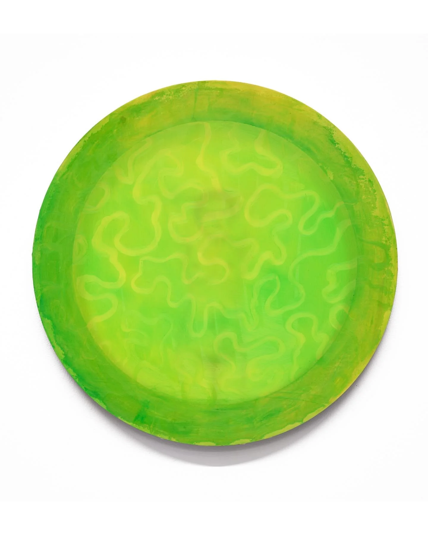 Pride, Oil on Silkscreen and Graphite on Mylar, 18 in. Diameter

Hidden layers with varied visibility