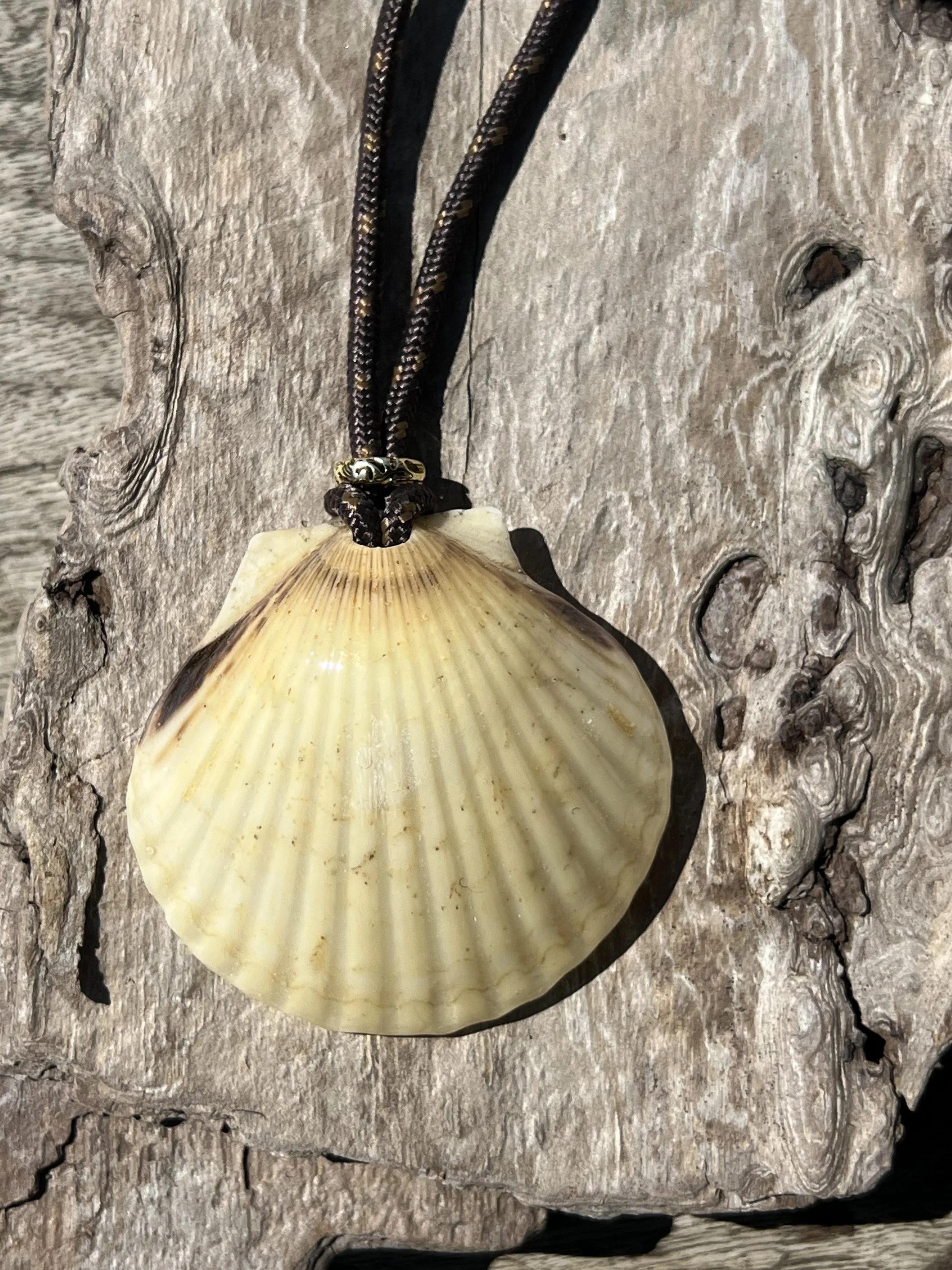 Seashell Necklace with Paracord