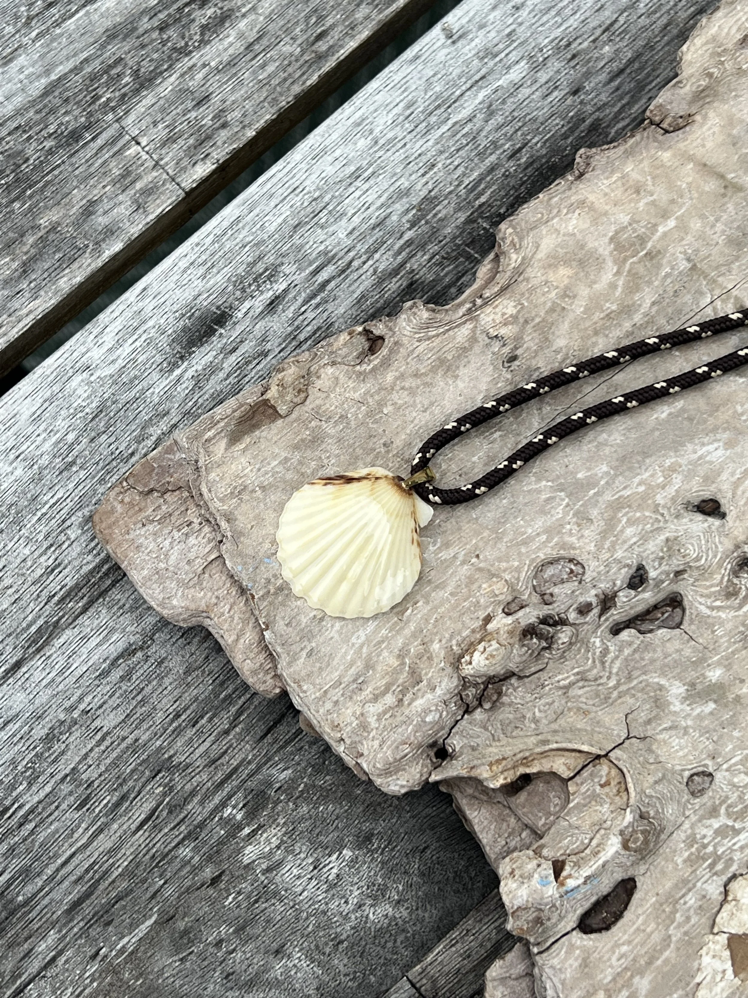 Chappy Seashell Necklace with Paracord