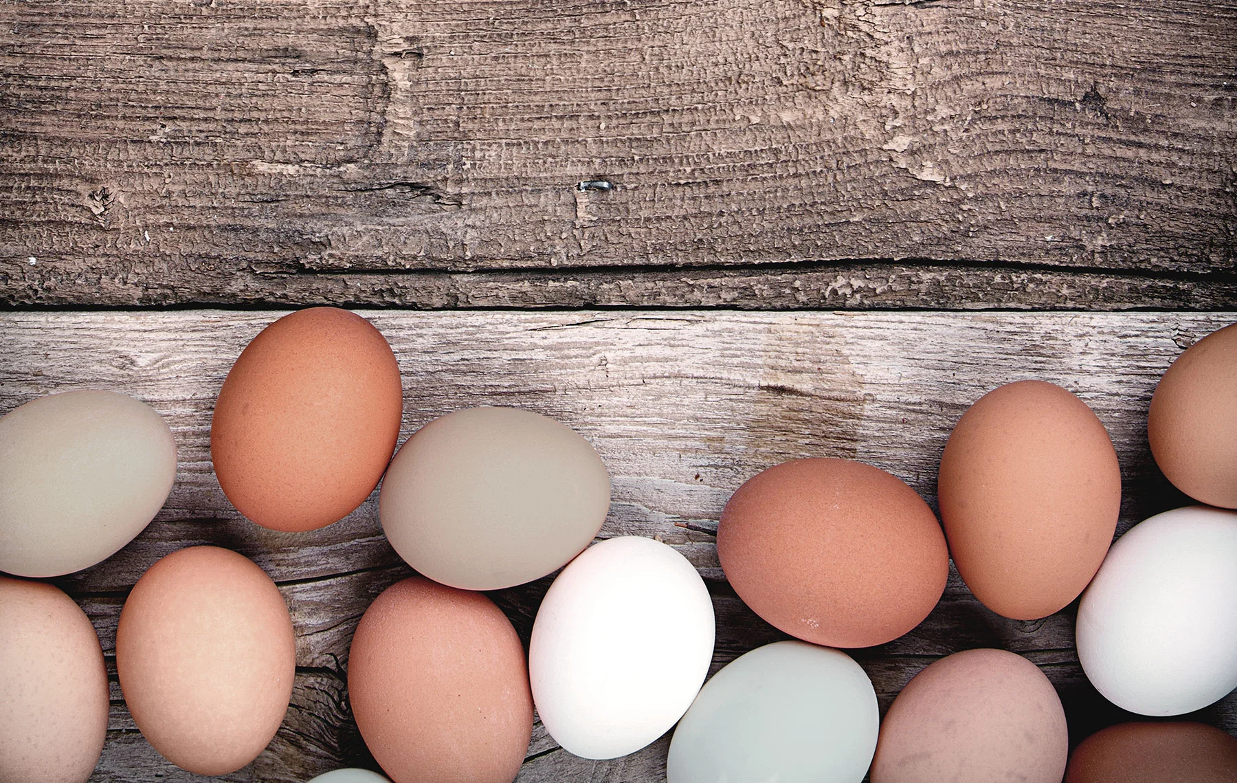 eggs-new2.jpg