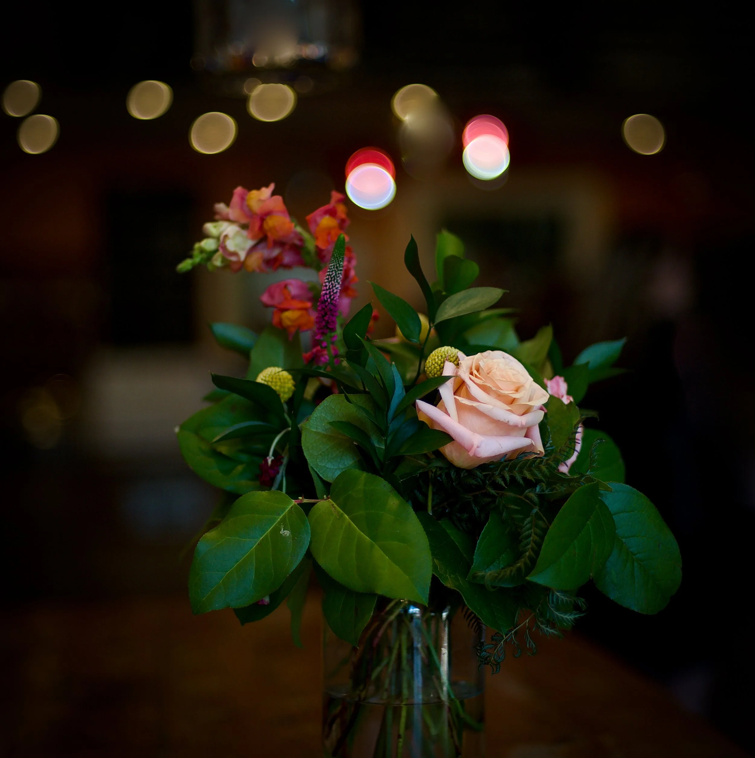 Glowing Rose