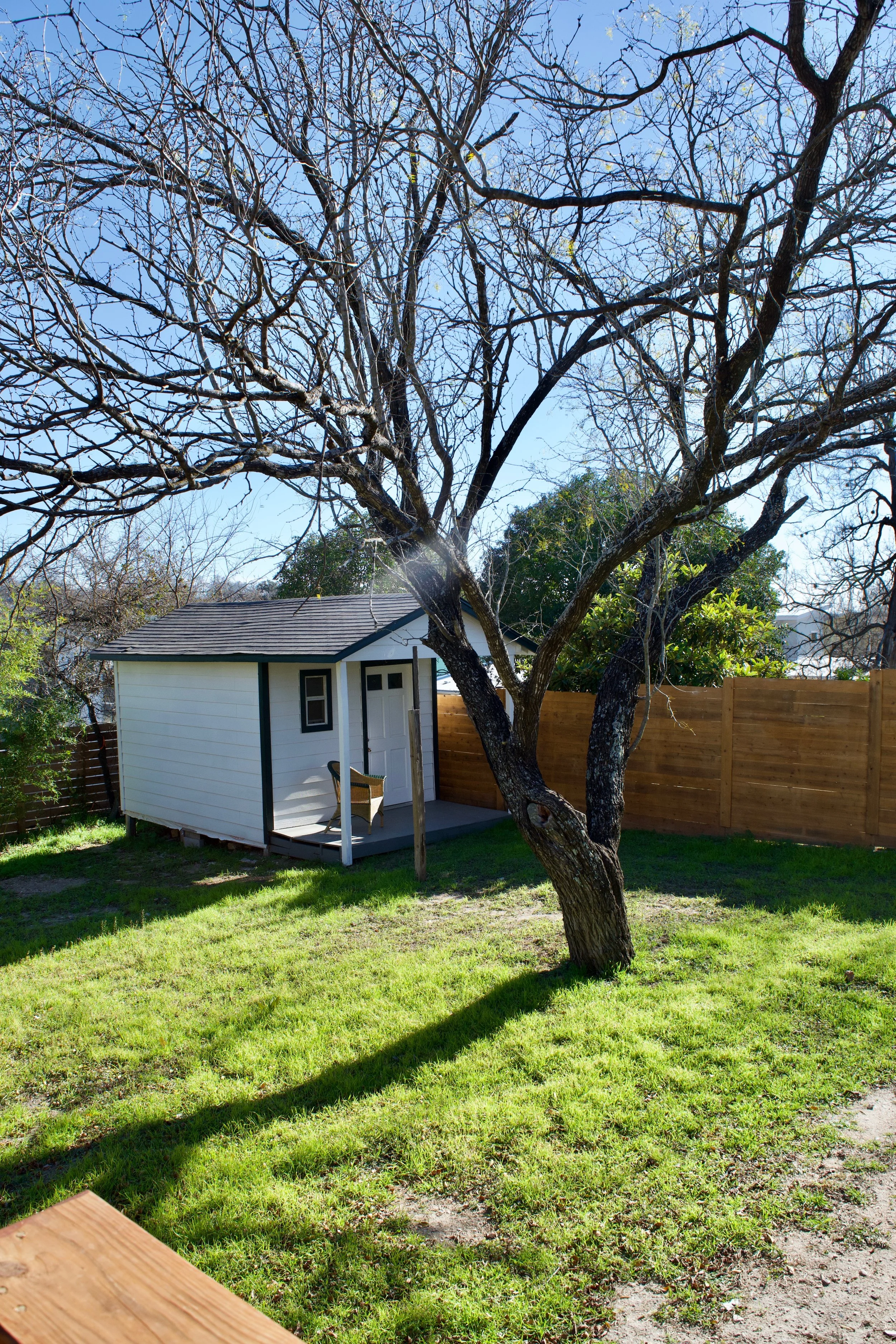 7-backyard.jpg