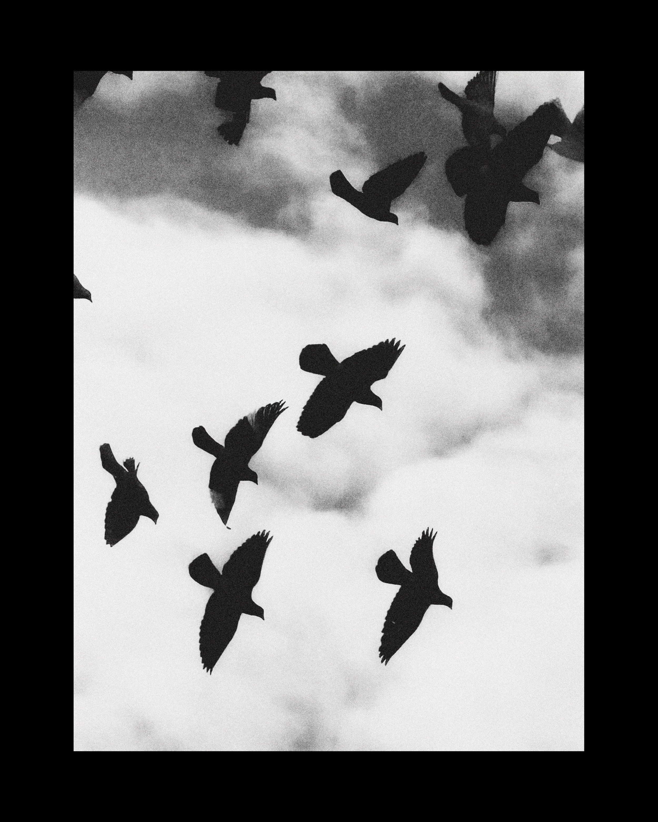 WEB_3500_72_(C) 2025 DENNIS TEJERO. ALL RIGHTS RESERVED.24.jpg