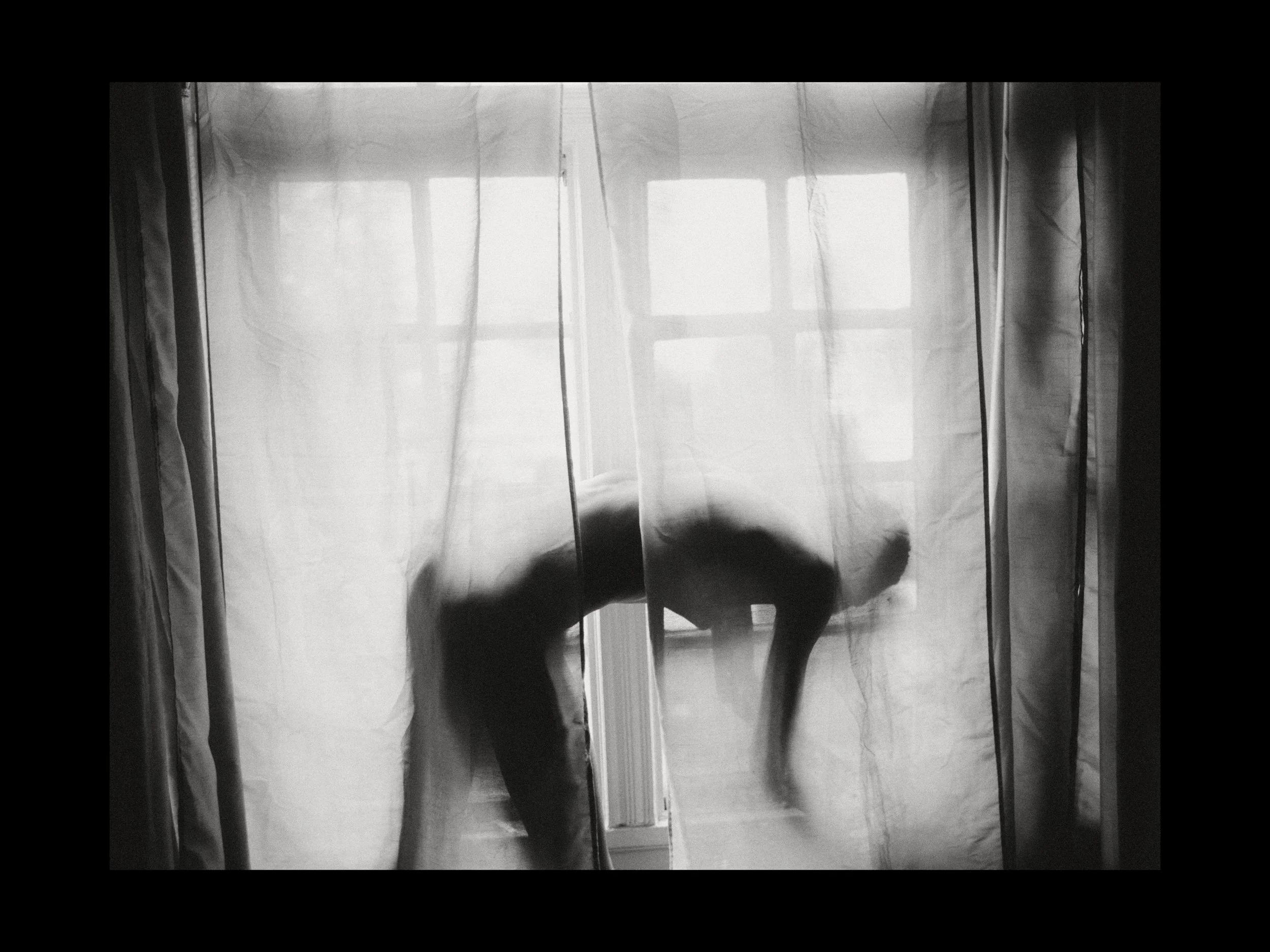 WEB_3500_72_(C) 2025 DENNIS TEJERO. ALL RIGHTS RESERVED.3.jpg