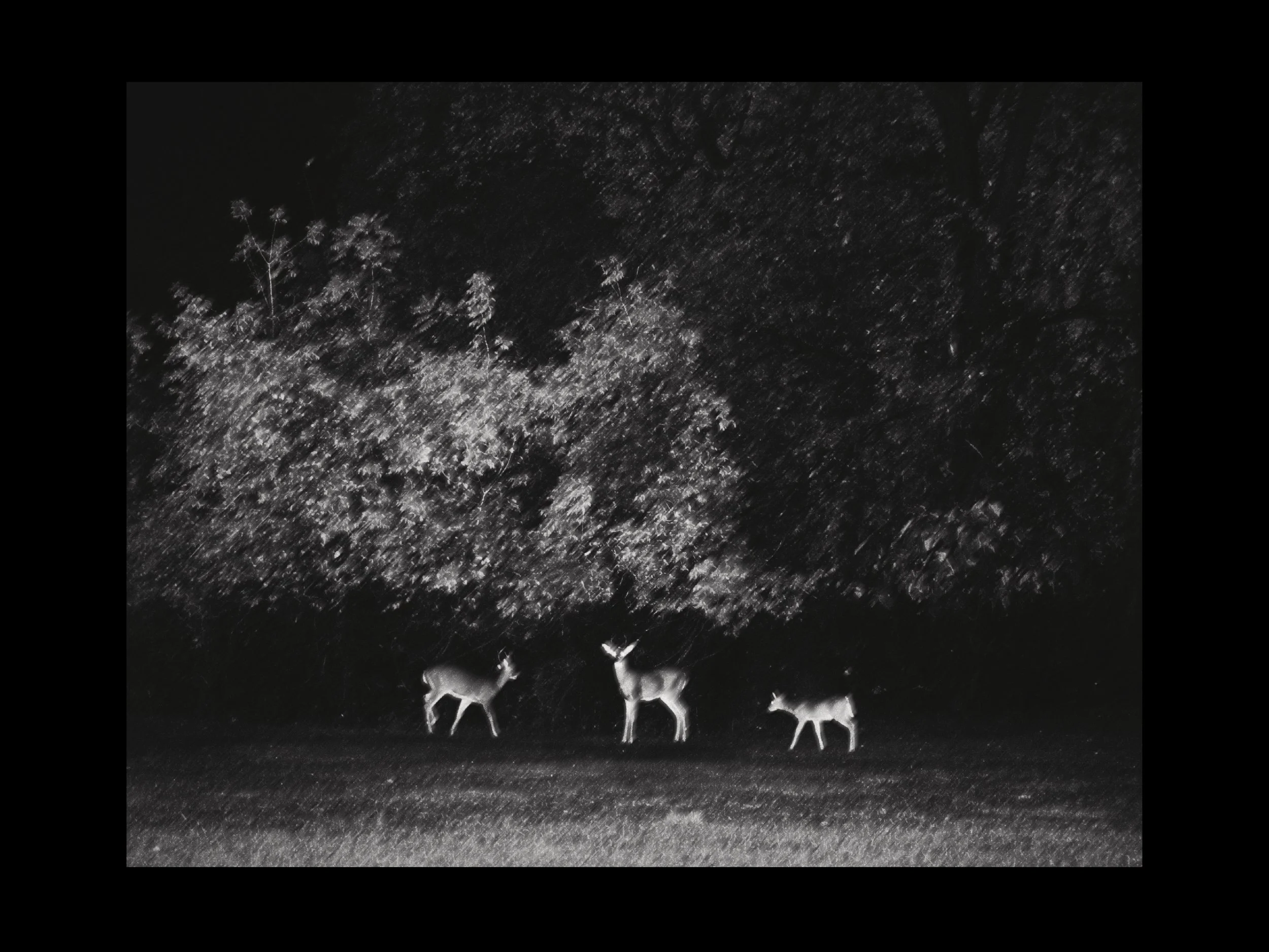 WEB_3500_72_(C) 2025 DENNIS TEJERO. ALL RIGHTS RESERVED.18.jpg