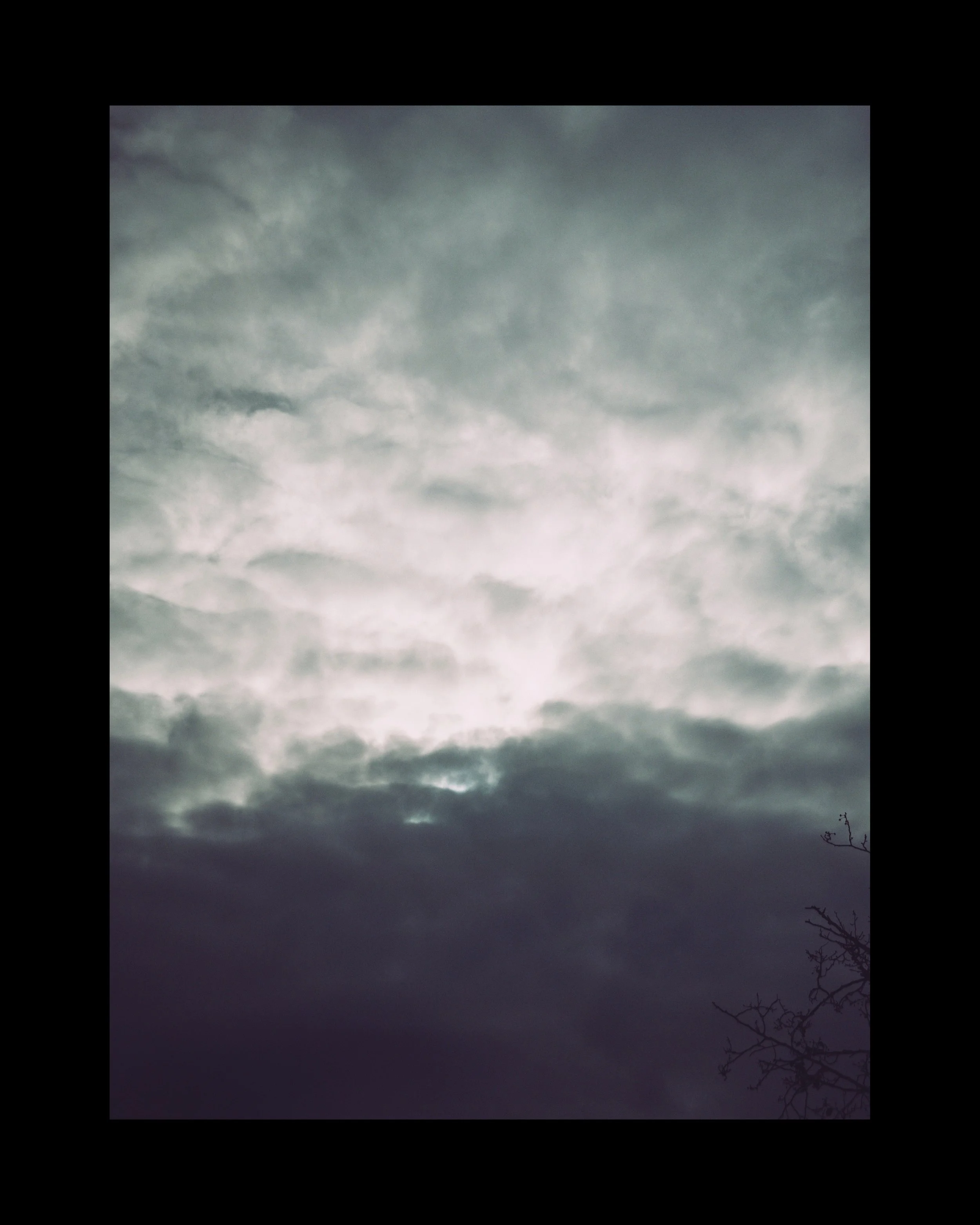 WEB_3500_72_(C) 2025 DENNIS TEJERO. ALL RIGHTS RESERVED.24.jpg