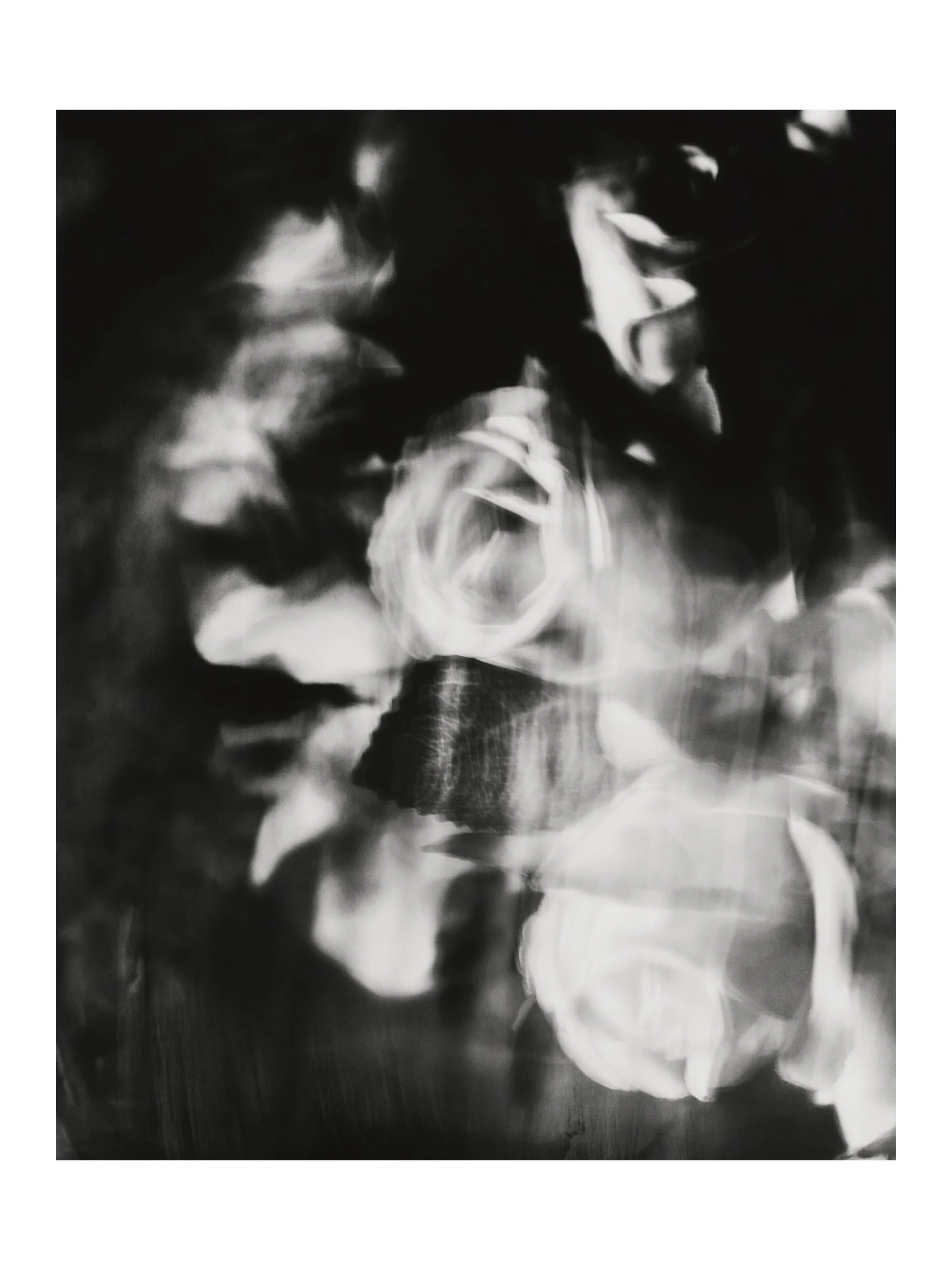 WEB_3500_72_(C) 2025 DENNIS TEJERO. ALL RIGHTS RESERVED. white..jpg