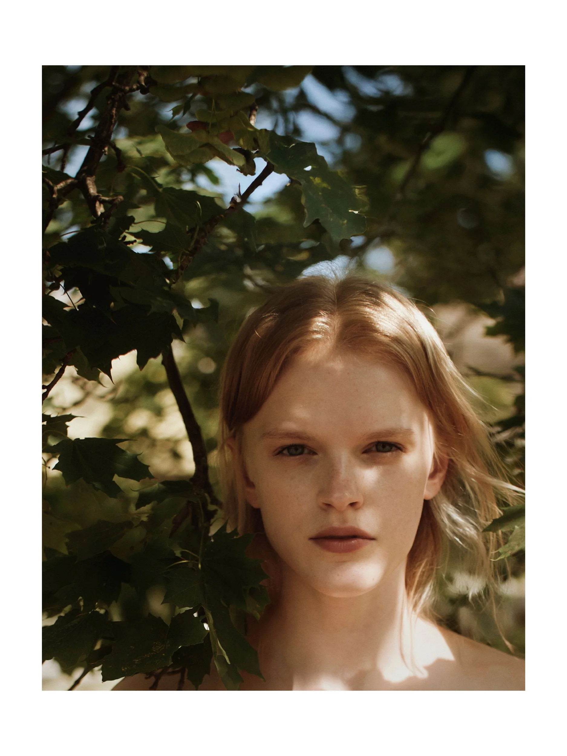 WEB_3500_72_(C) 2025 DENNIS TEJERO. ALL RIGHTS RESERVED. white.10.jpg