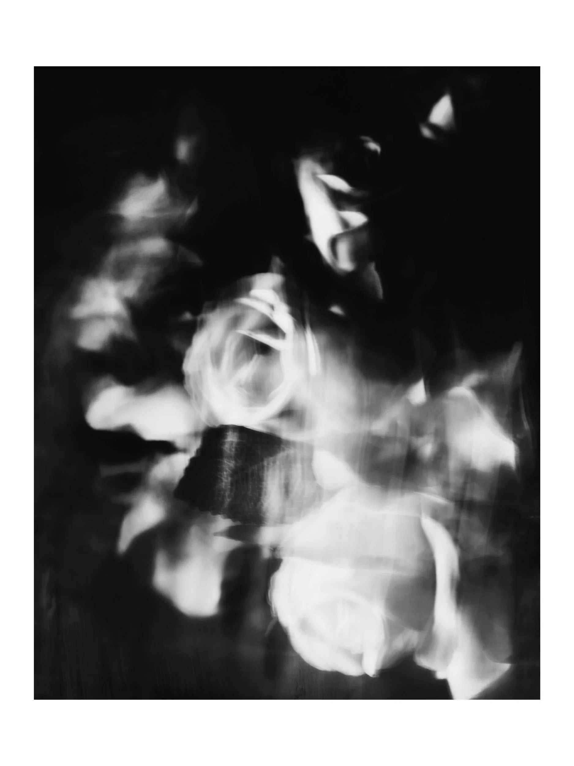 WEB_3500_72_(C) 2025 DENNIS TEJERO. ALL RIGHTS RESERVED. white..jpg