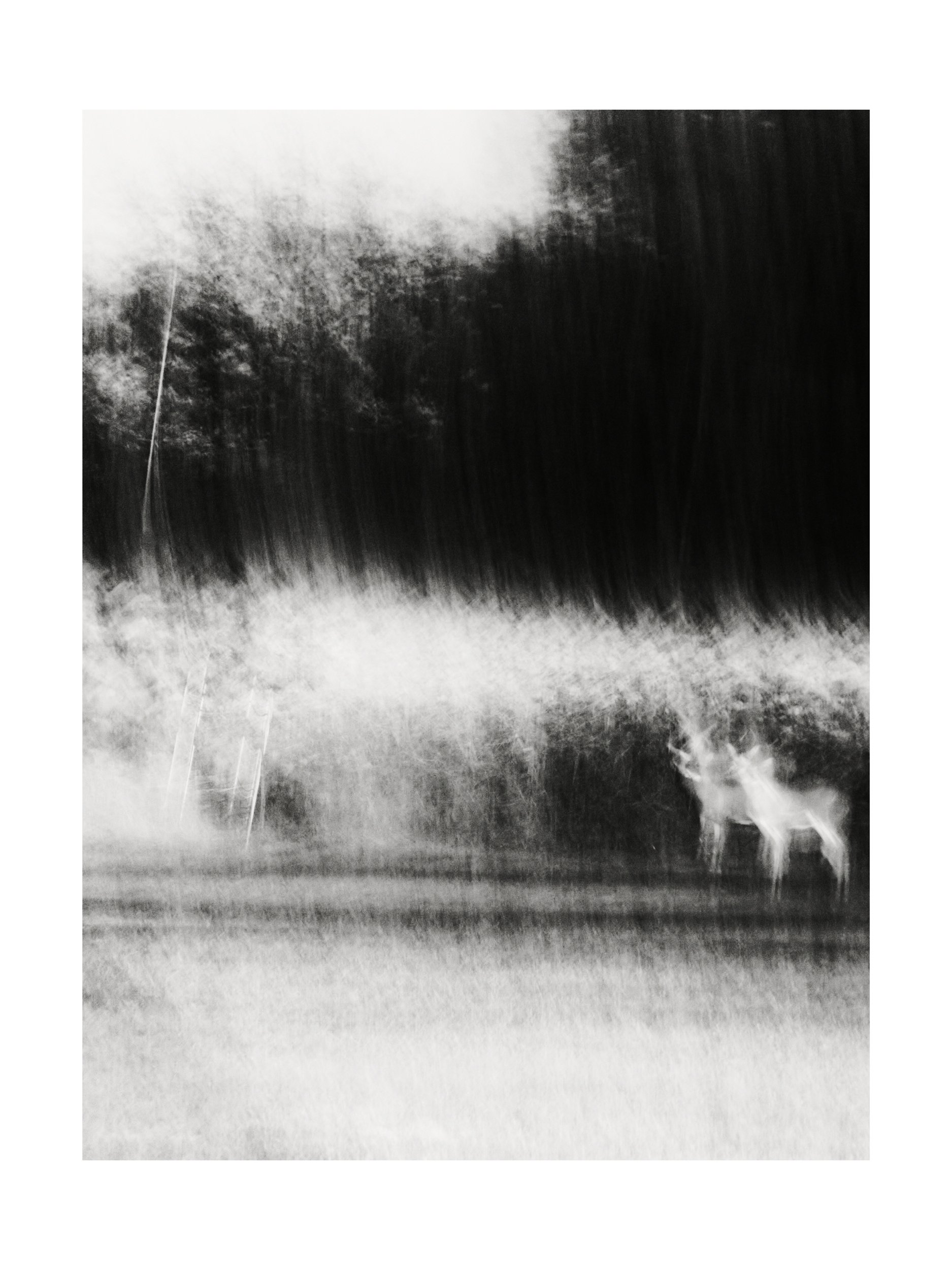 WEB_3500_72_(C) 2025 DENNIS TEJERO. ALL RIGHTS RESERVED.4.jpg