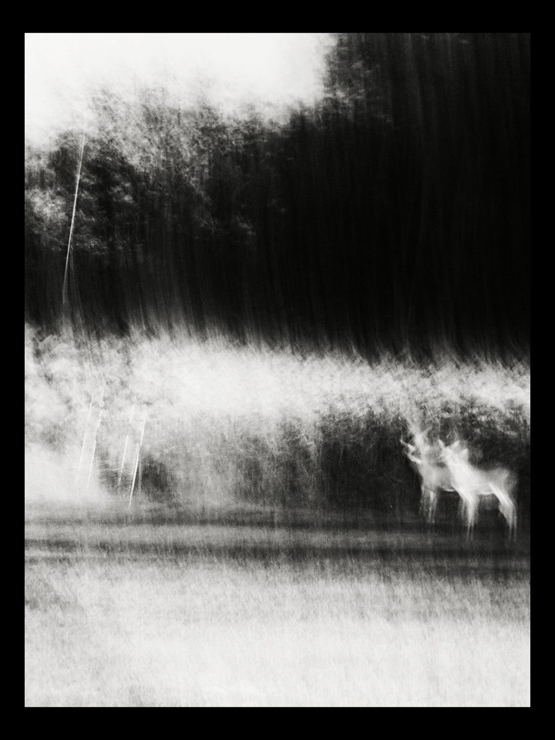 (C) 2025 DENNIS TEJERO. ALL RIGHTS RESERVED. 2026 - VERT4.jpg