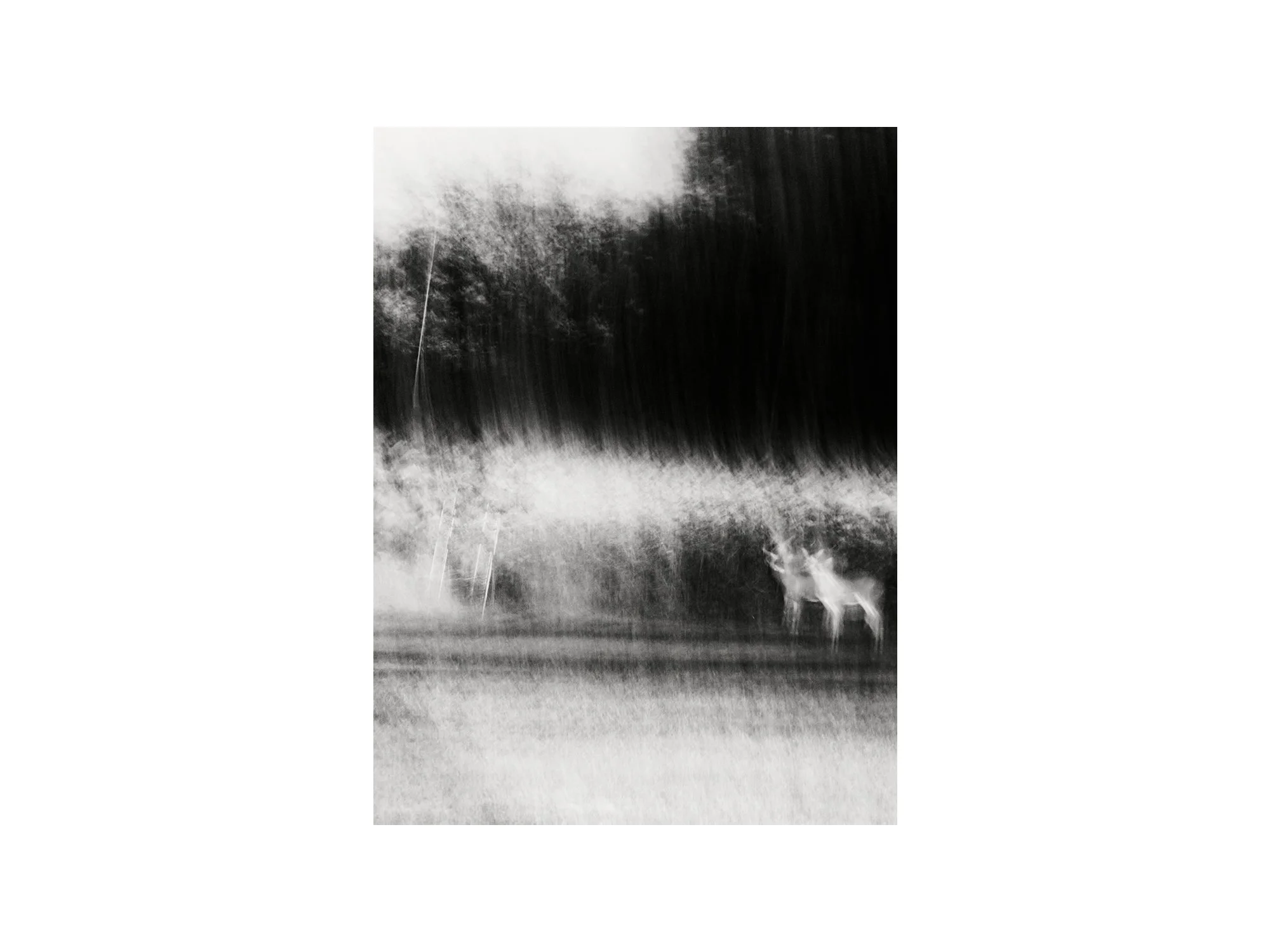 (C) 2025 DENNIS TEJERO. ALL RIGHTS RESERVED. 2026 - HORI11.jpg