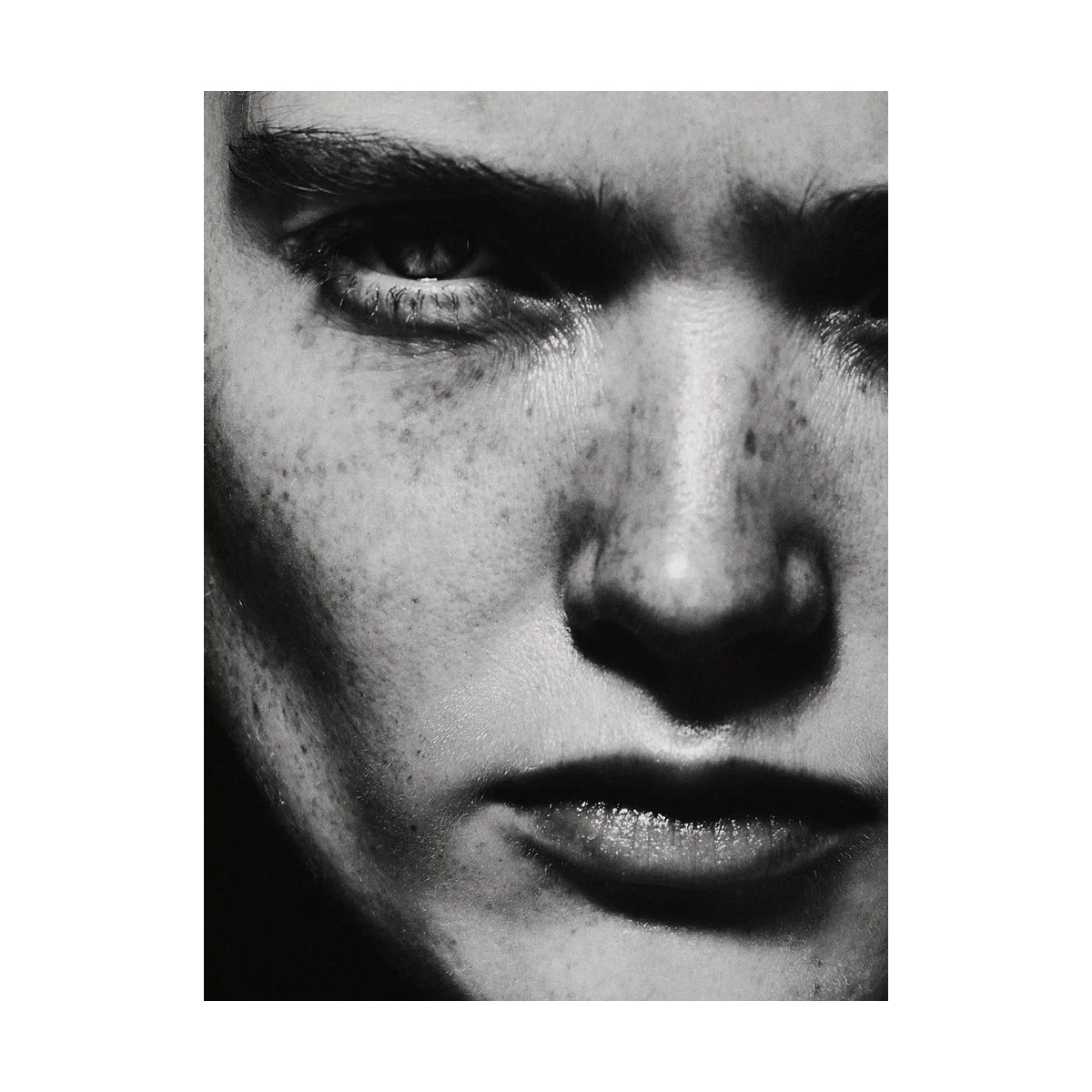 (C) 2025 DENNIS TEJERO. ALL RIGHTS RESERVED. 20267.jpg