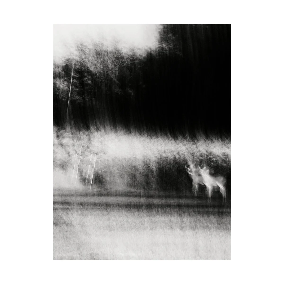 (C) 2025 DENNIS TEJERO. ALL RIGHTS RESERVED. 20266.jpg