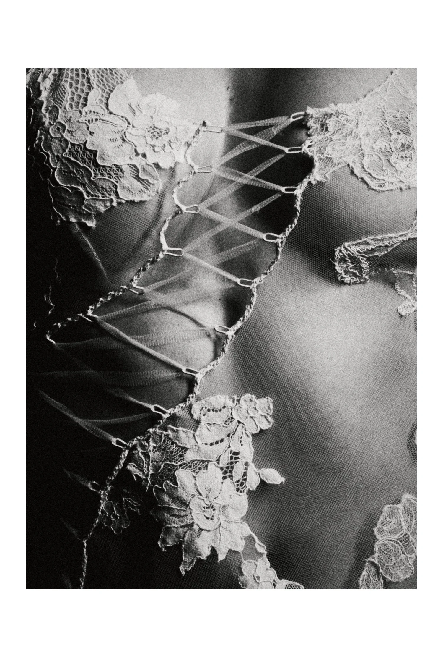 (C) 2025 DENNIS TEJERO. ALL RIGHTS RESERVED. 2026 - DYPSV7.jpg