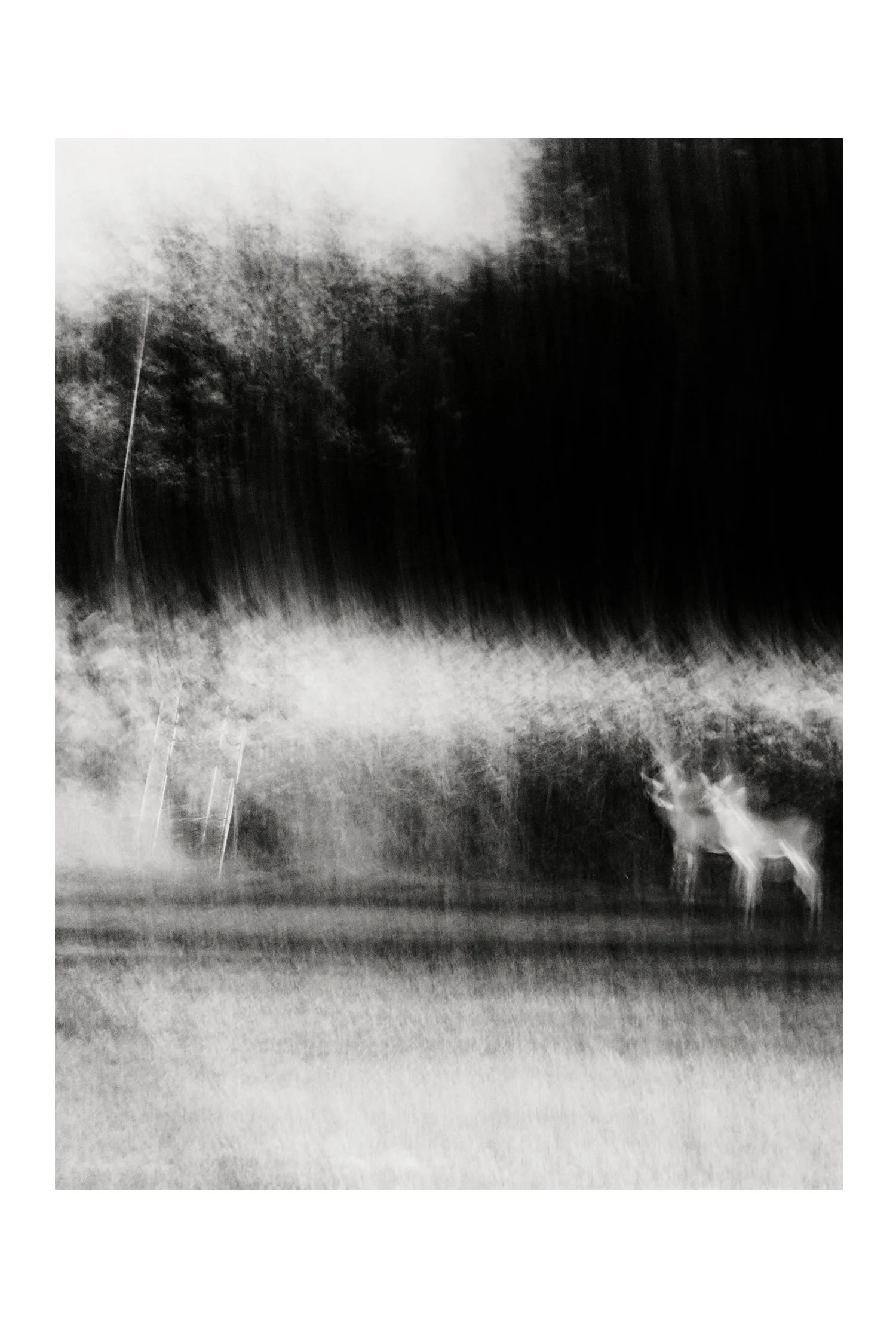 (C) 2025 DENNIS TEJERO. ALL RIGHTS RESERVED. 2026 - DYPSV.jpg