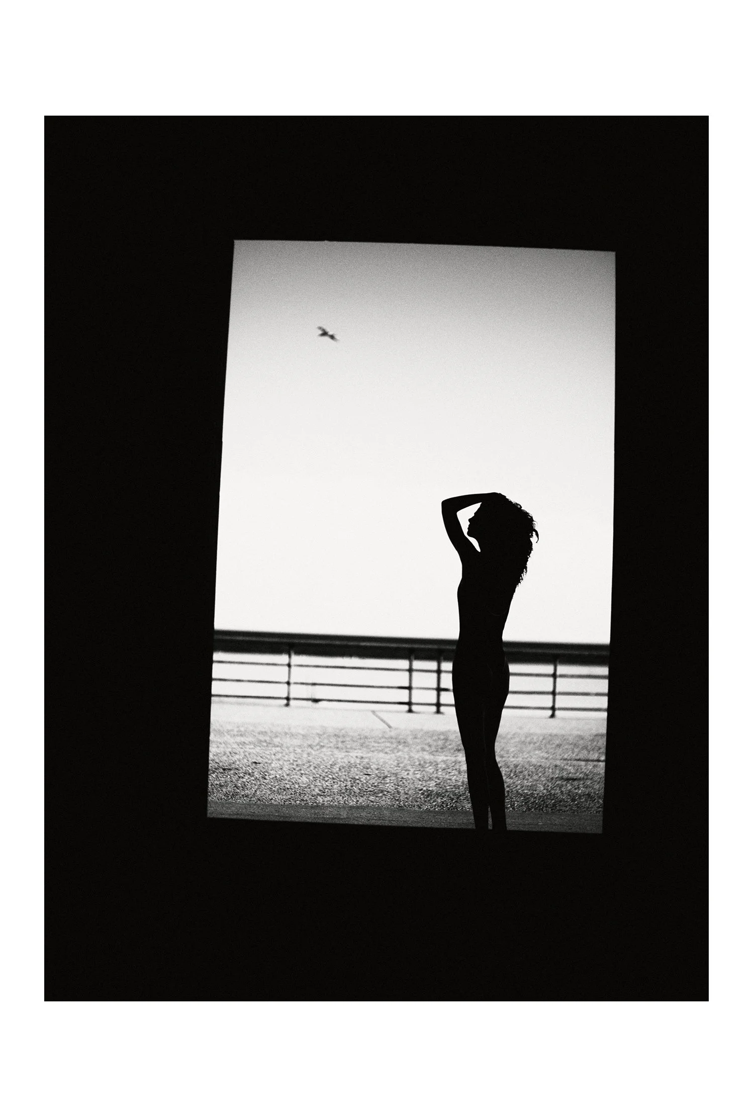 (C) 2025 DENNIS TEJERO. ALL RIGHTS RESERVED. 2026 - DYPSV10.jpg