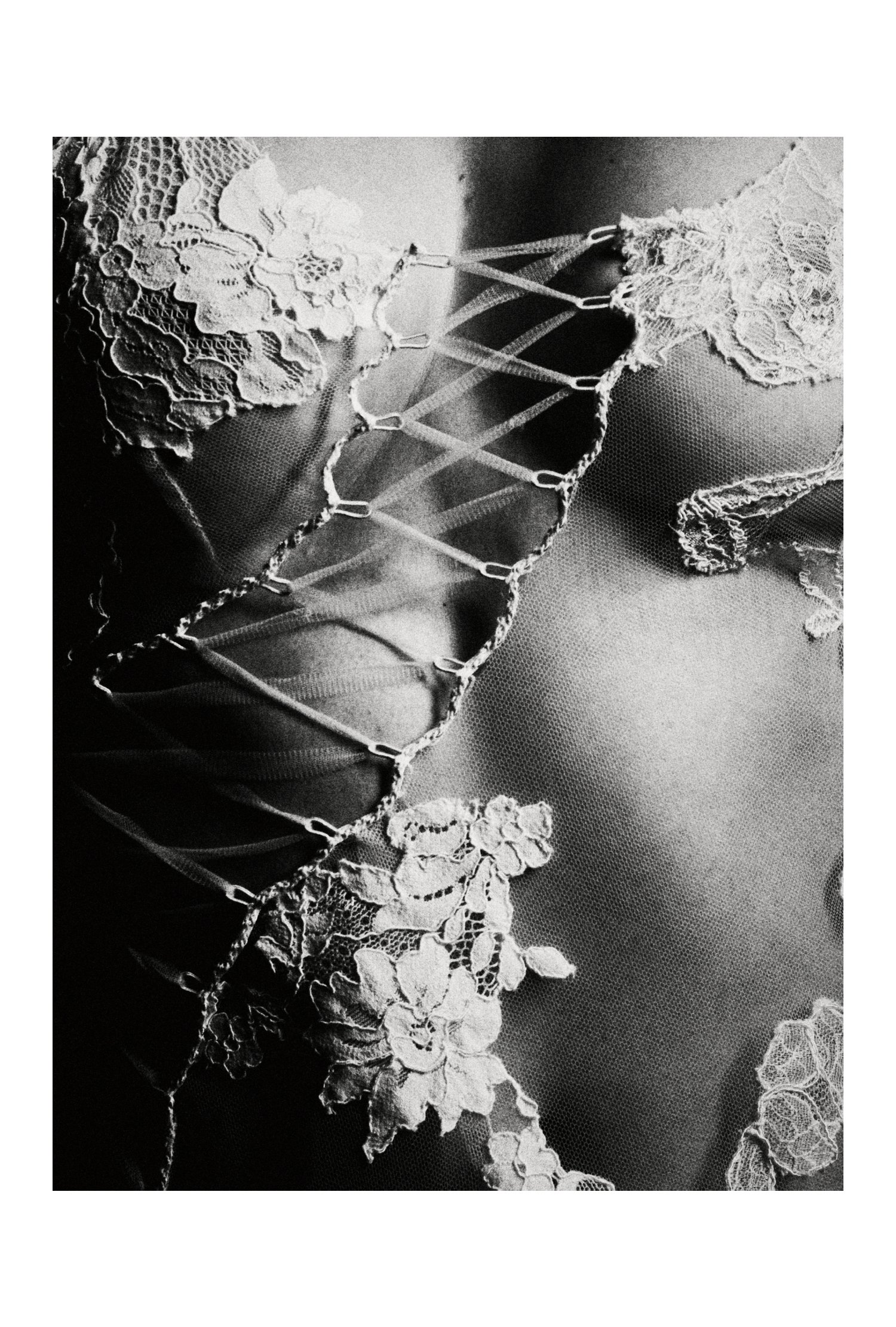 (C) 2025 DENNIS TEJERO. ALL RIGHTS RESERVED. 2026 - DYPSV9.jpg