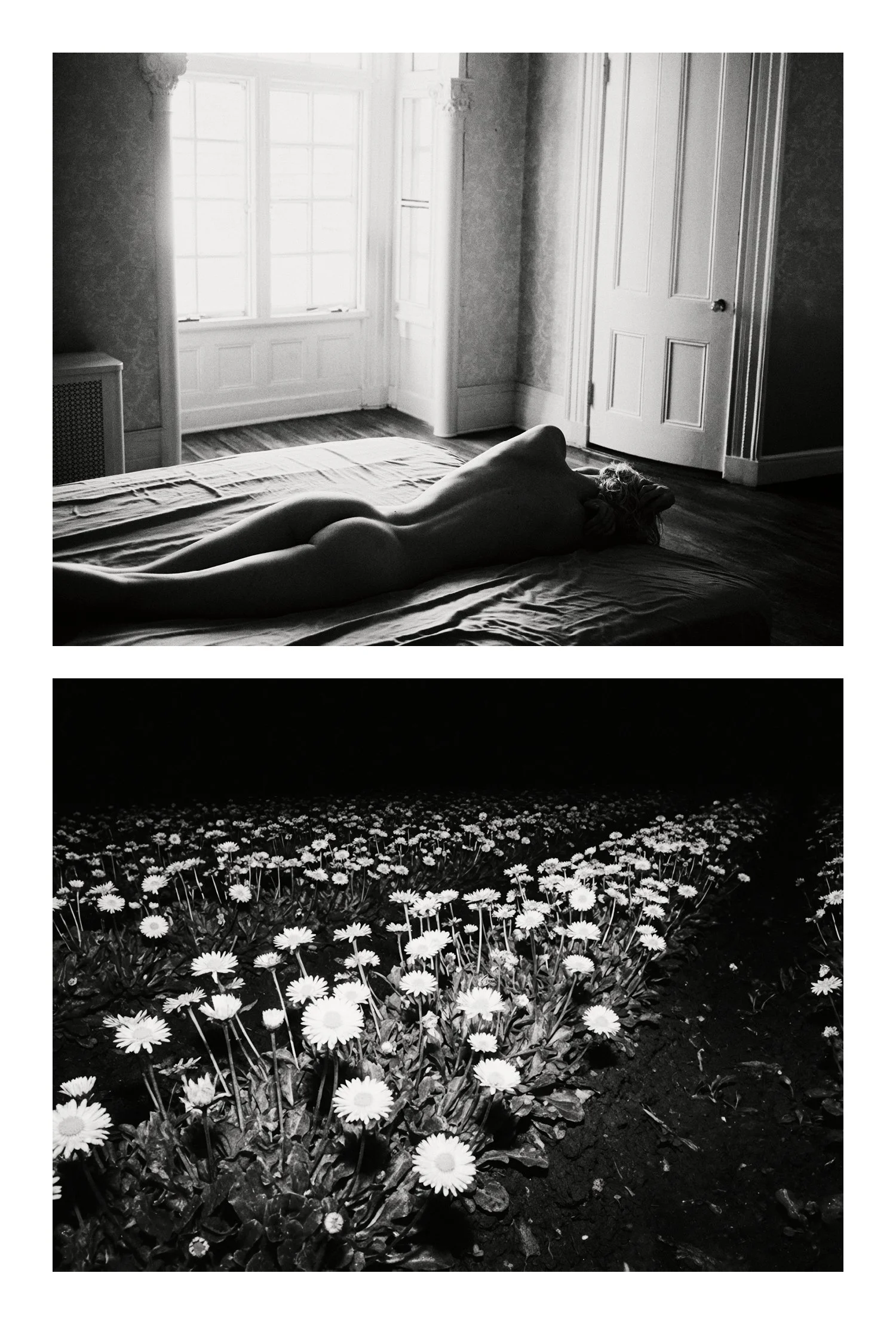 (C) 2025 DENNIS TEJERO. ALL RIGHTS RESERVED. 2026 - DYPSV16.jpg