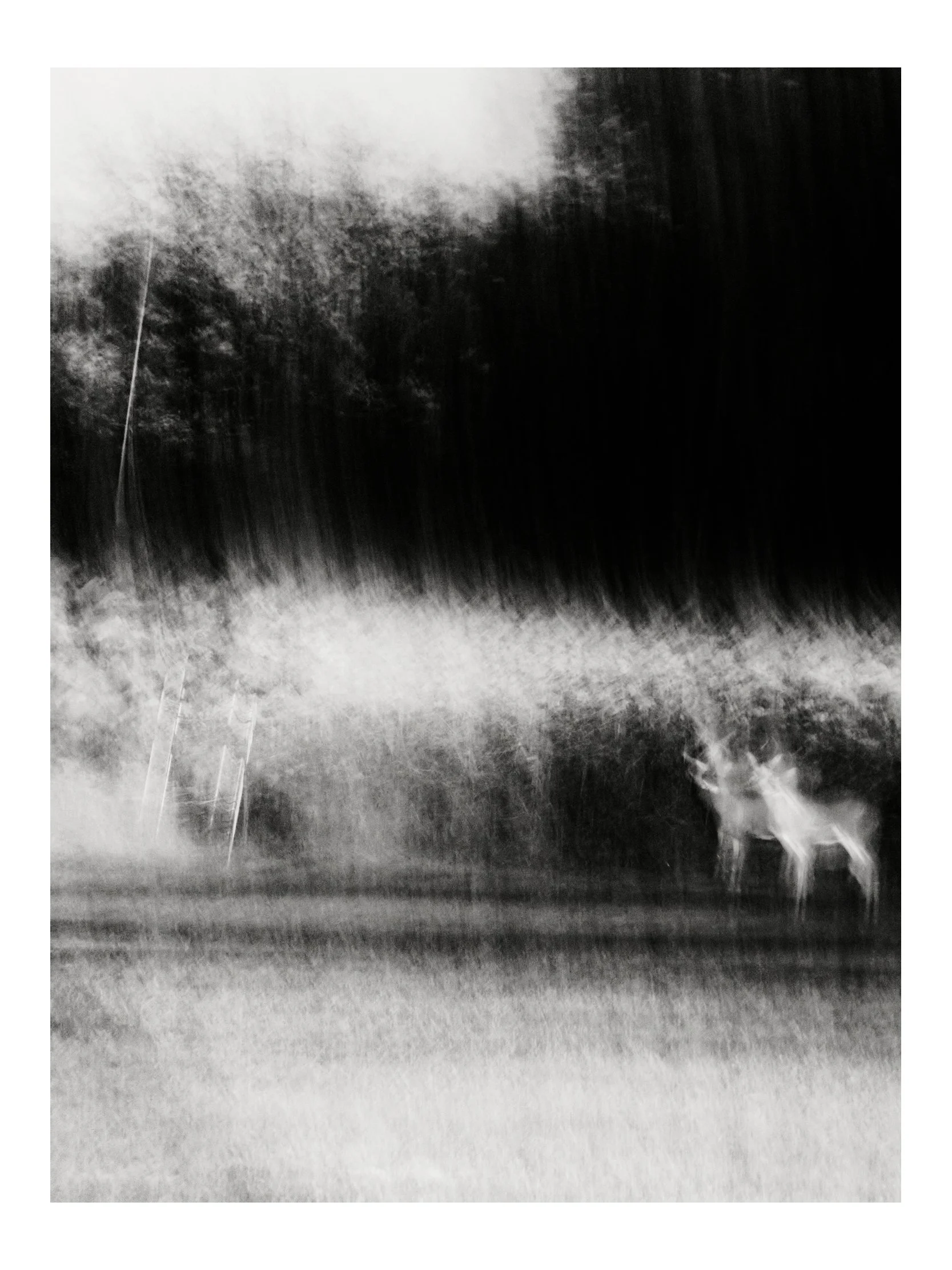 (C) 2025 DENNIS TEJERO. ALL RIGHTS RESERVED. 2026 - VERT.jpg