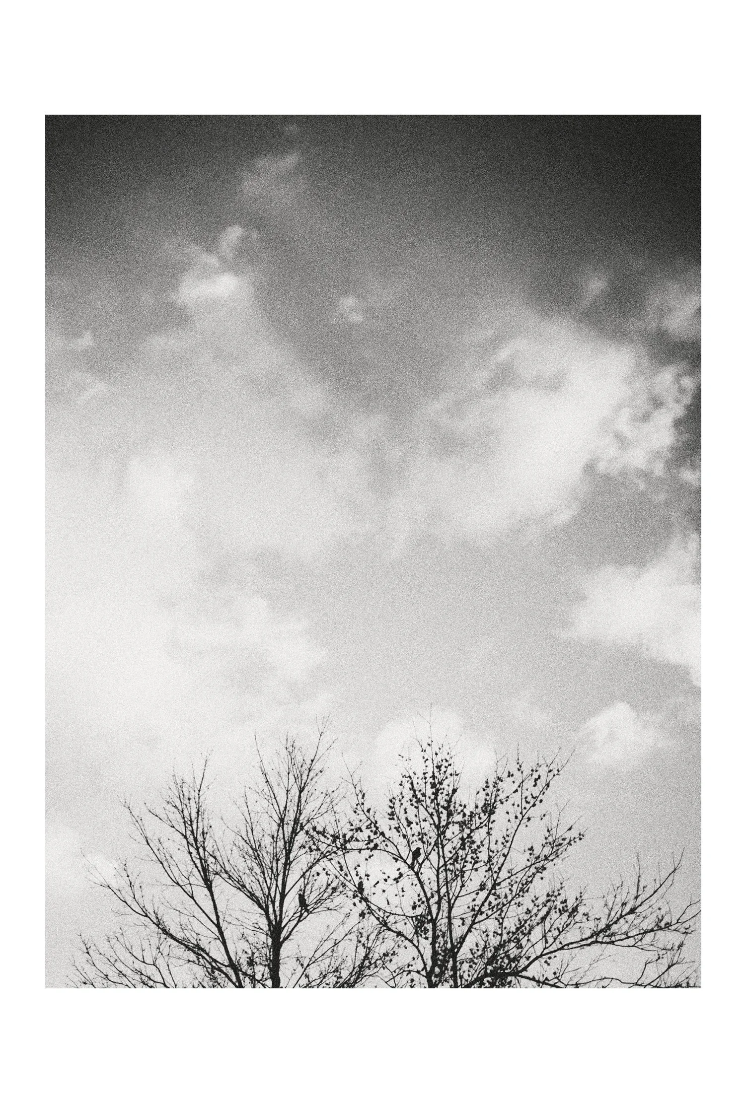 (C) 2025 DENNIS TEJERO. ALL RIGHTS RESERVED. 2026 - VERT4263.jpg