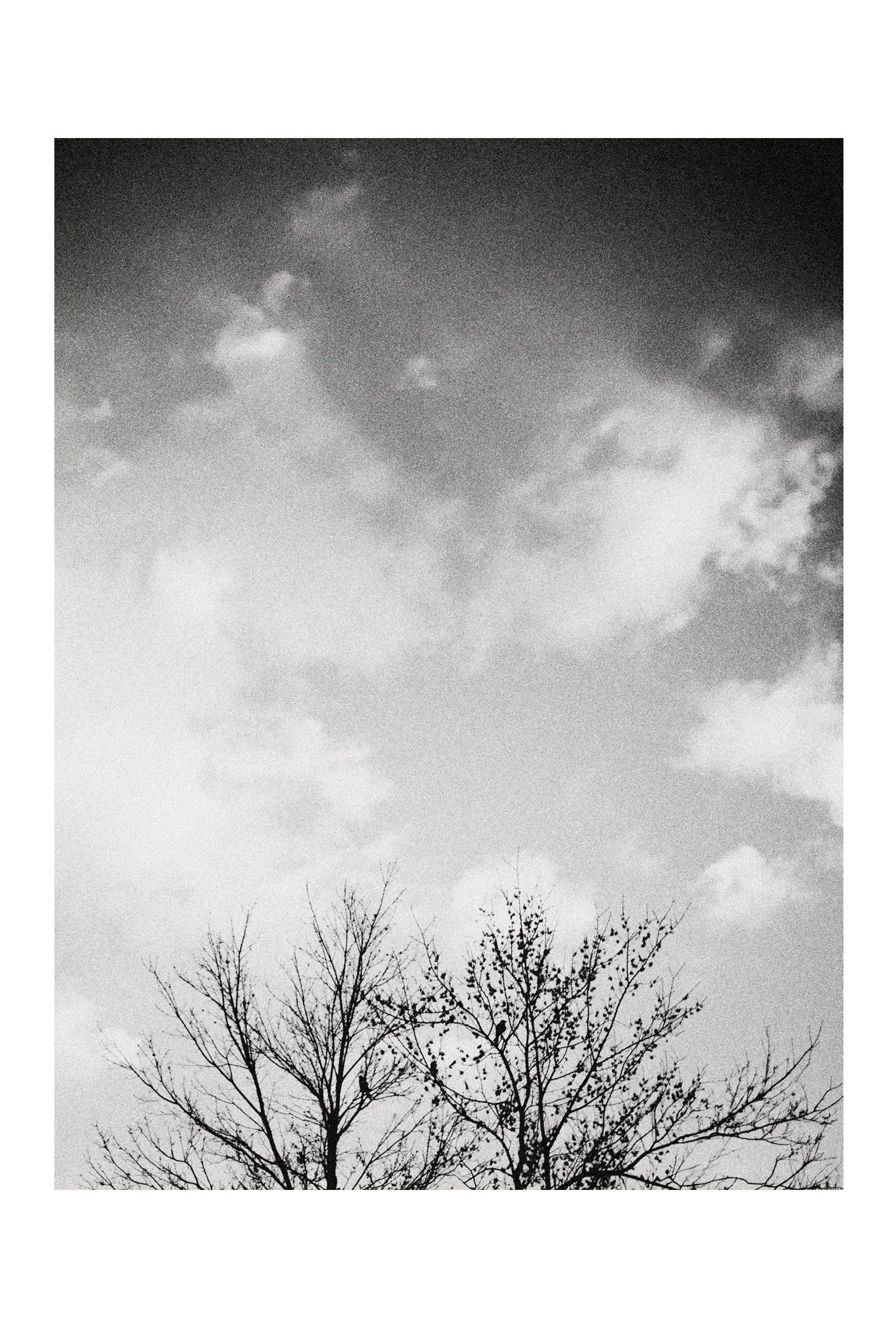 (C) 2025 DENNIS TEJERO. ALL RIGHTS RESERVED. 2026 - VERT4269.jpg