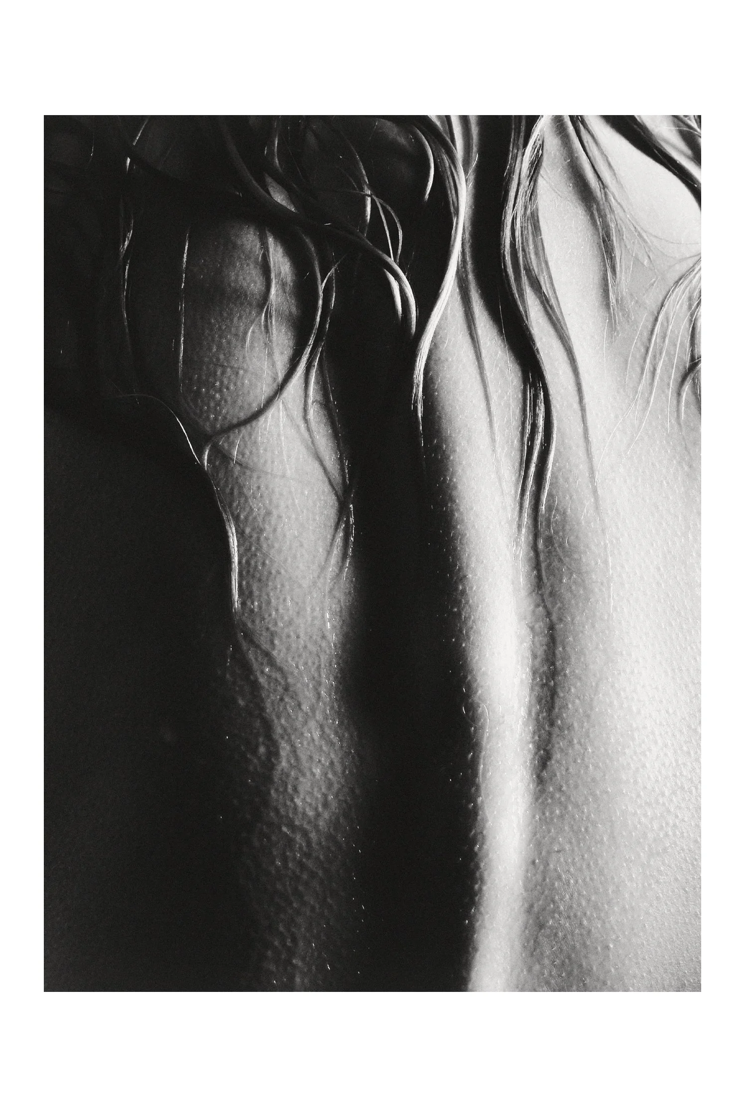 (C) 2025 DENNIS TEJERO. ALL RIGHTS RESERVED. 2026 - VERT42616.jpg