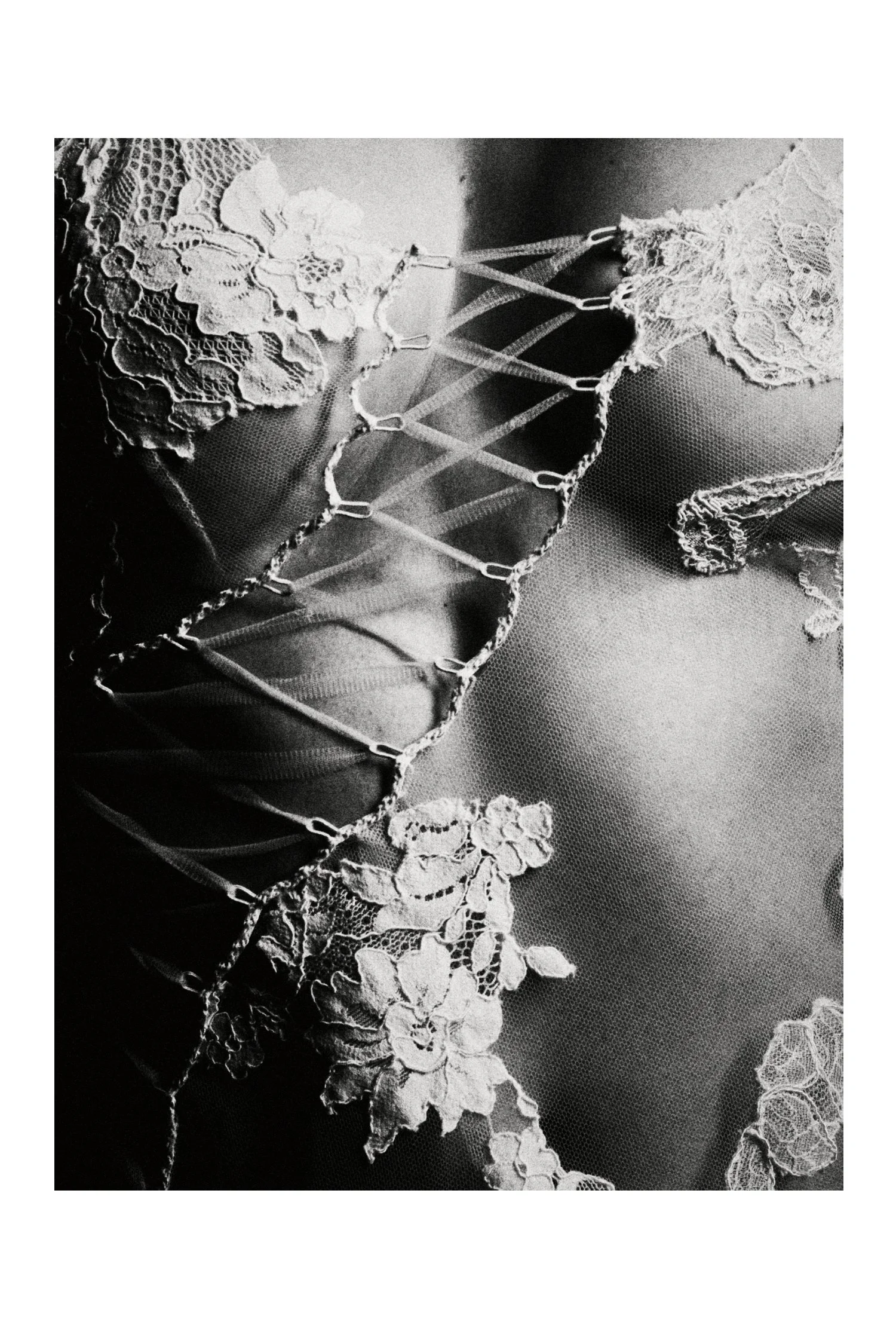 (C) 2025 DENNIS TEJERO. ALL RIGHTS RESERVED. 2026 - VERT42633.jpg