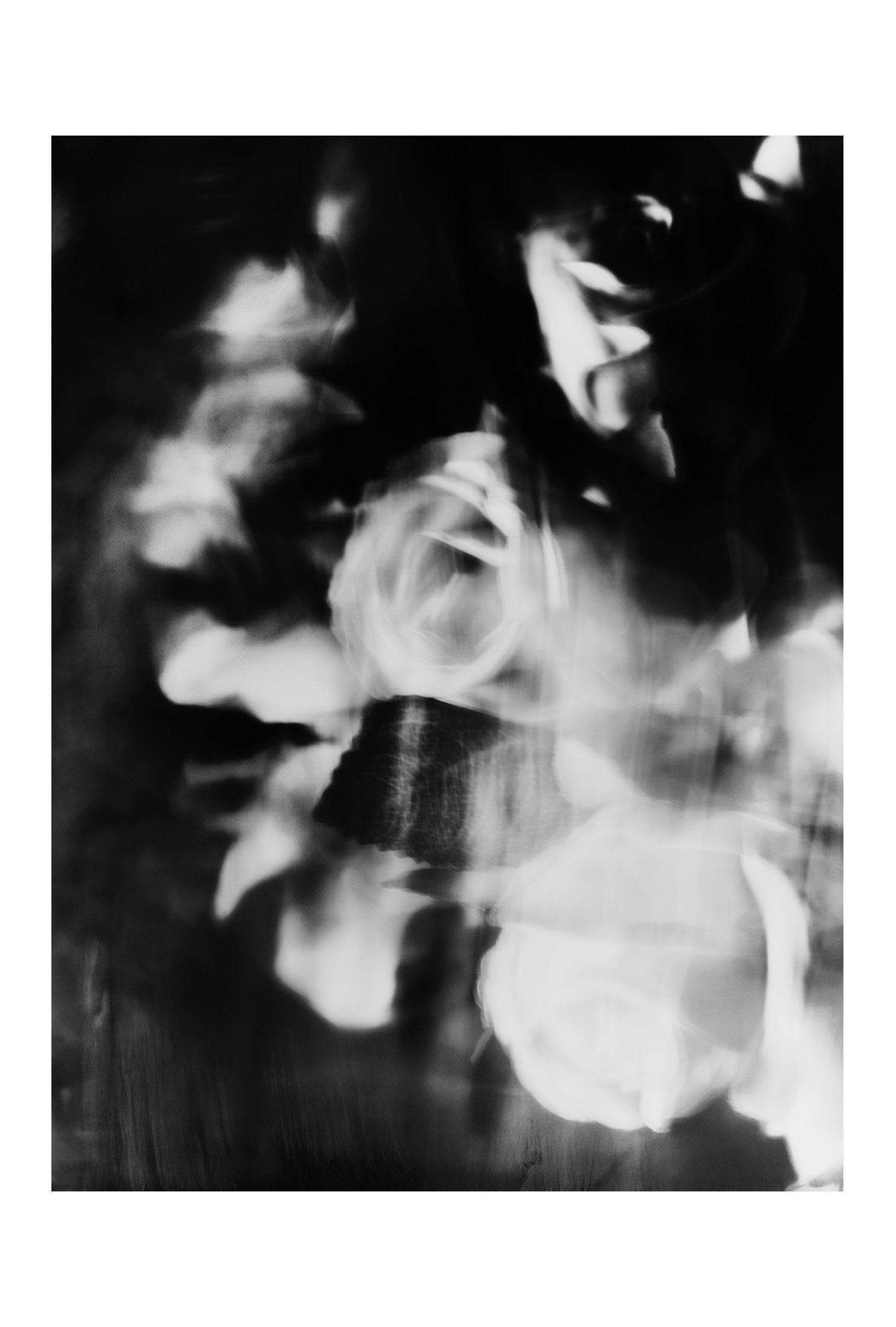 (C) 2025 DENNIS TEJERO. ALL RIGHTS RESERVED. 2026 - VERT42630.jpg