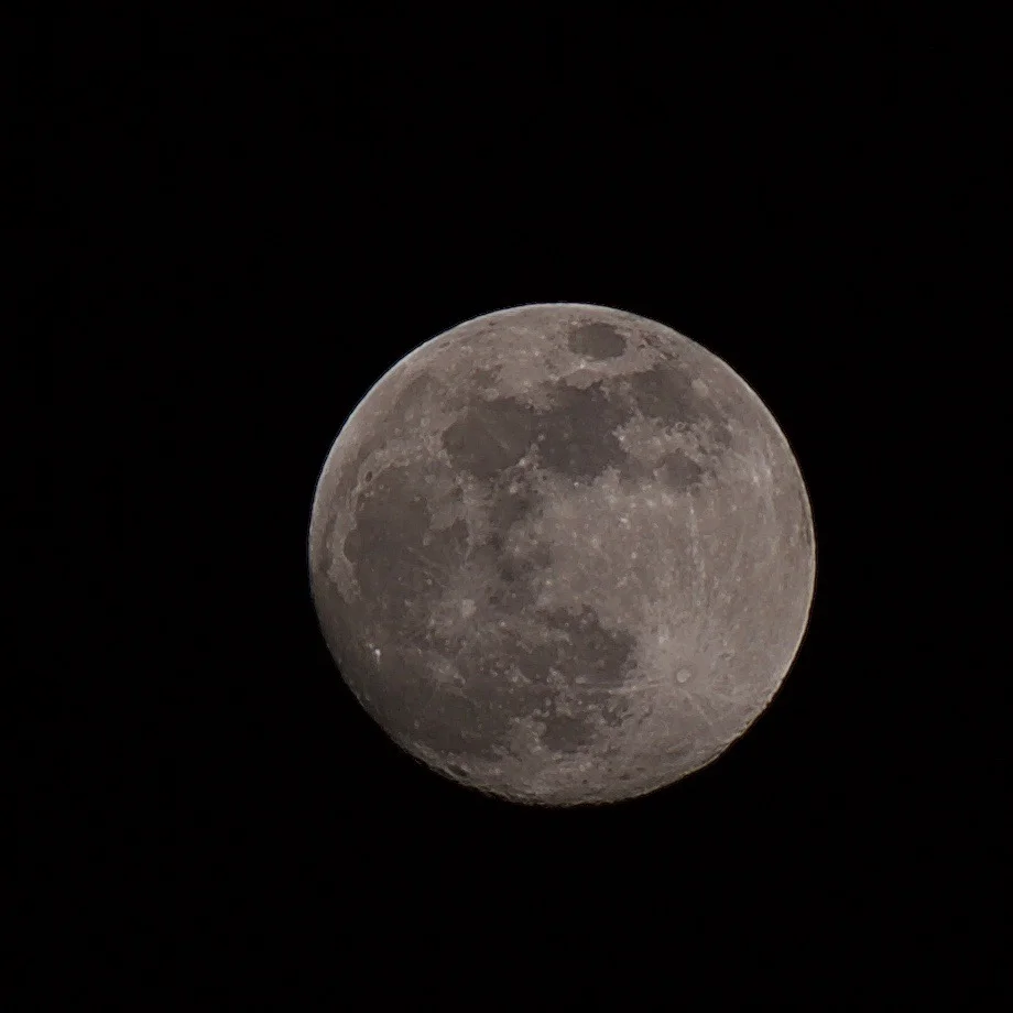 DSC_3151.jpg