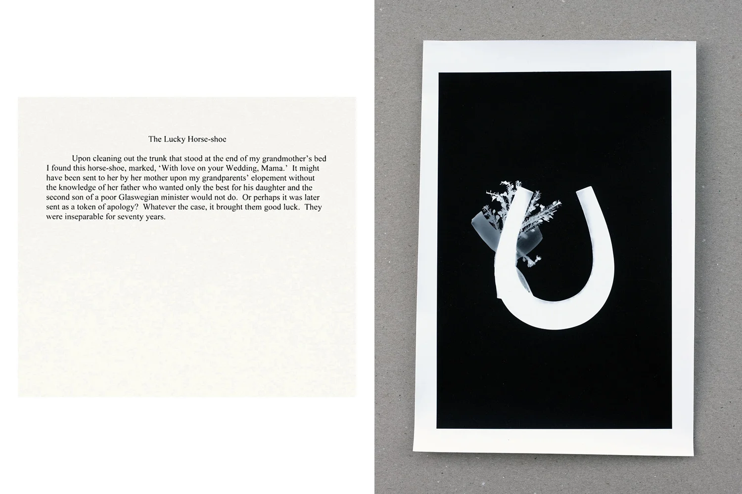 The Lucky Horse-shoe