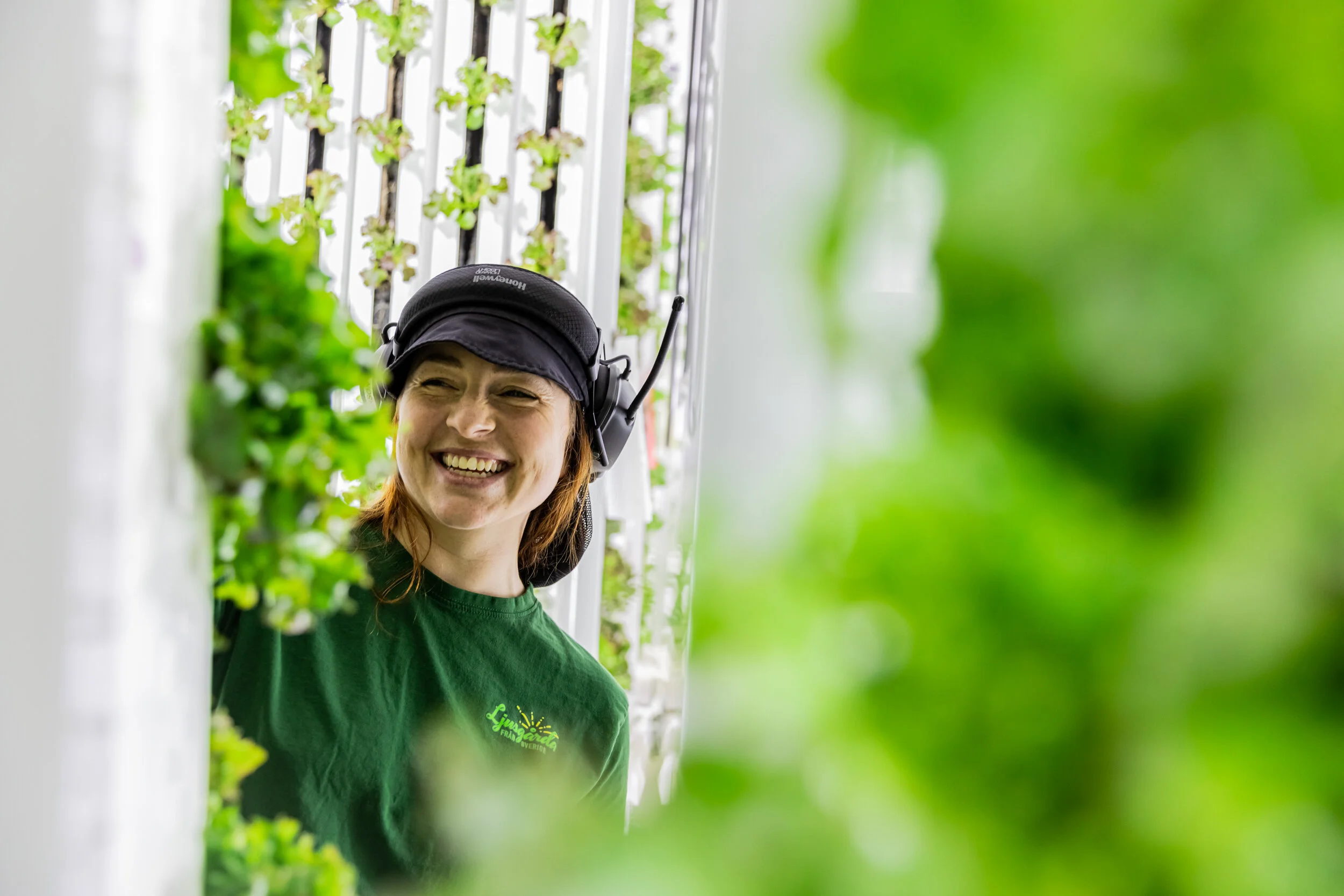 Alexander Arnholm Ljusgårda-2.jpg