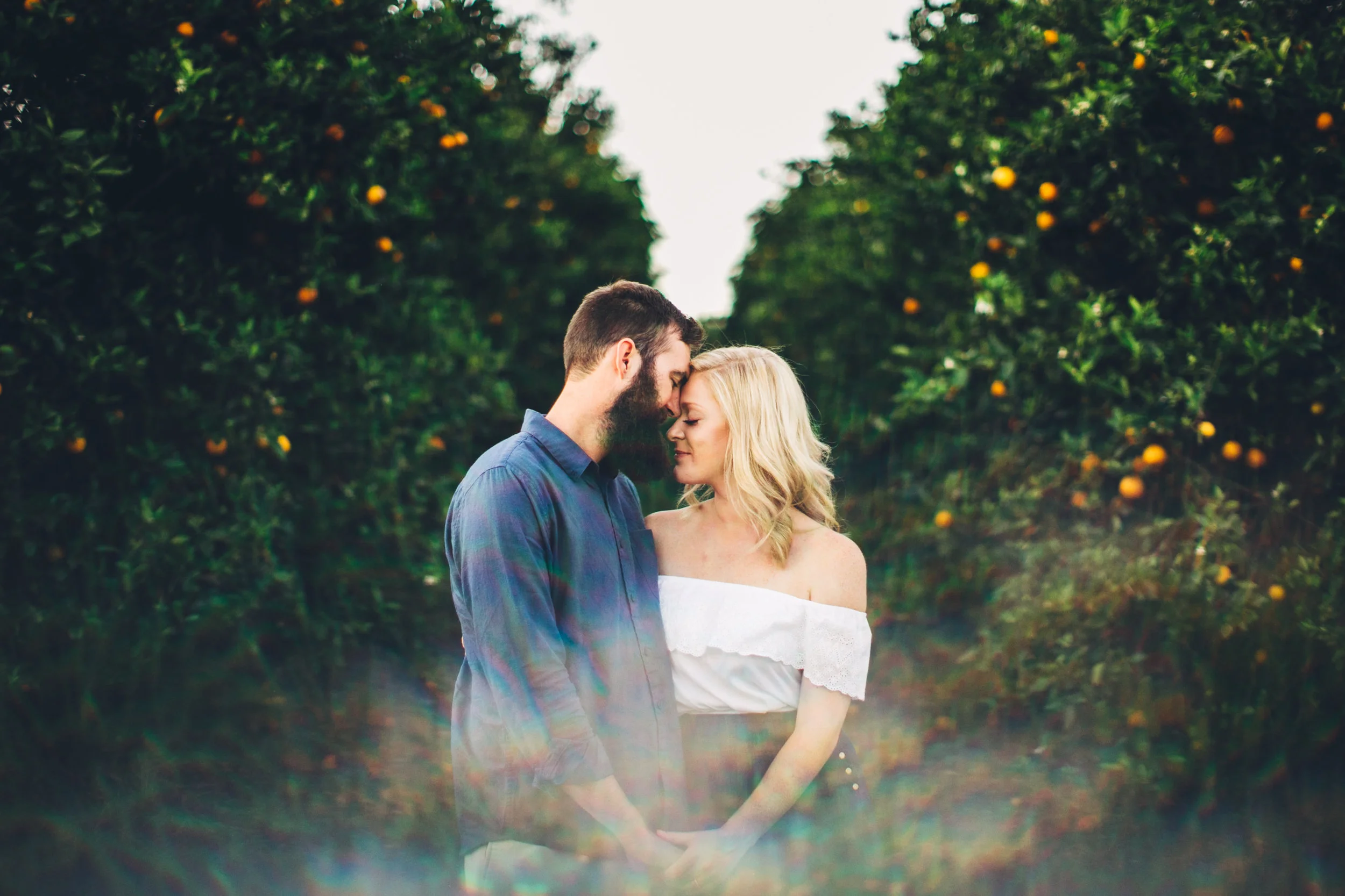 ORANGE GROVE ENGAGEMENT