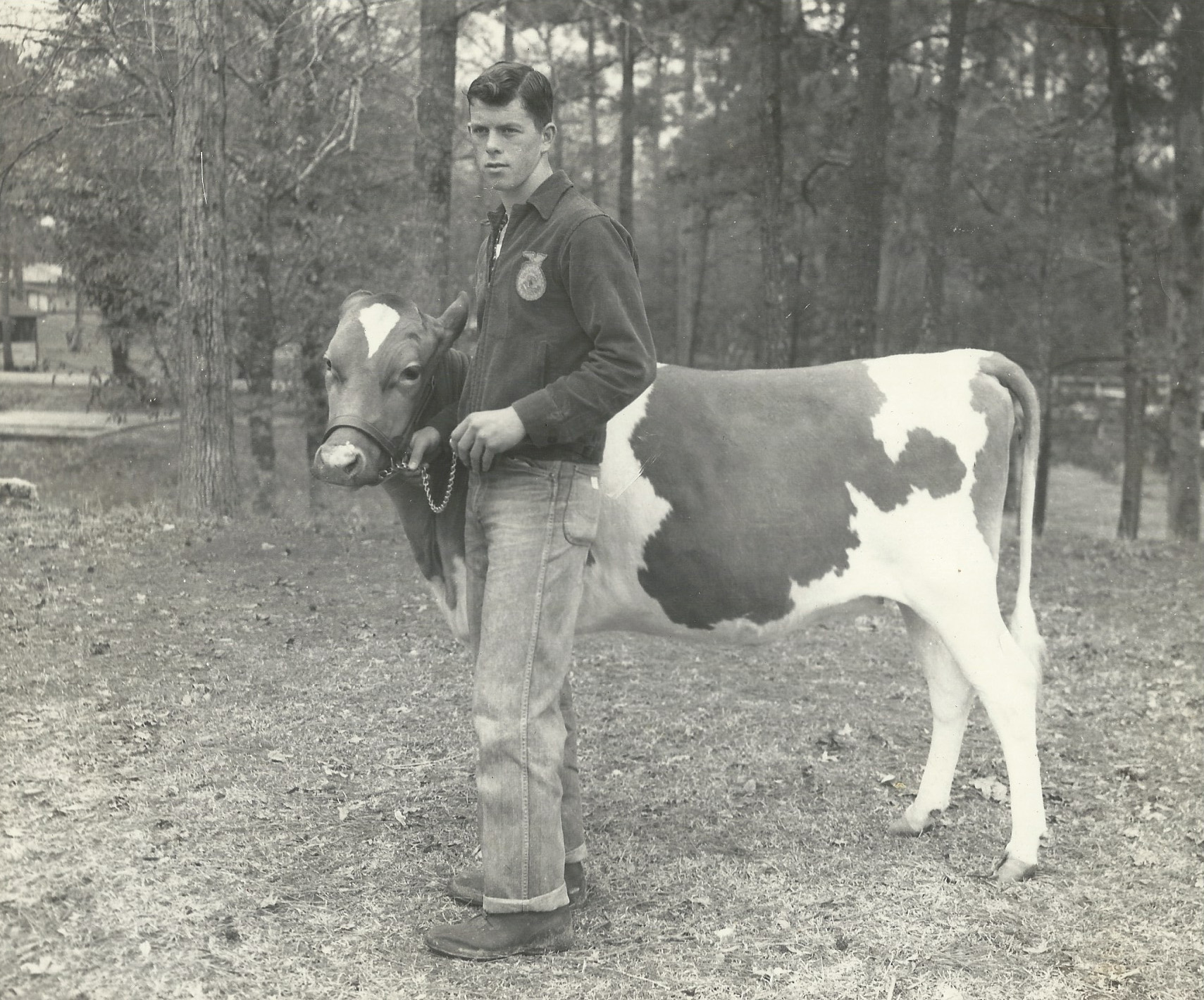  My father, Walter Smith as a teenager around 1957 showing a calf. 