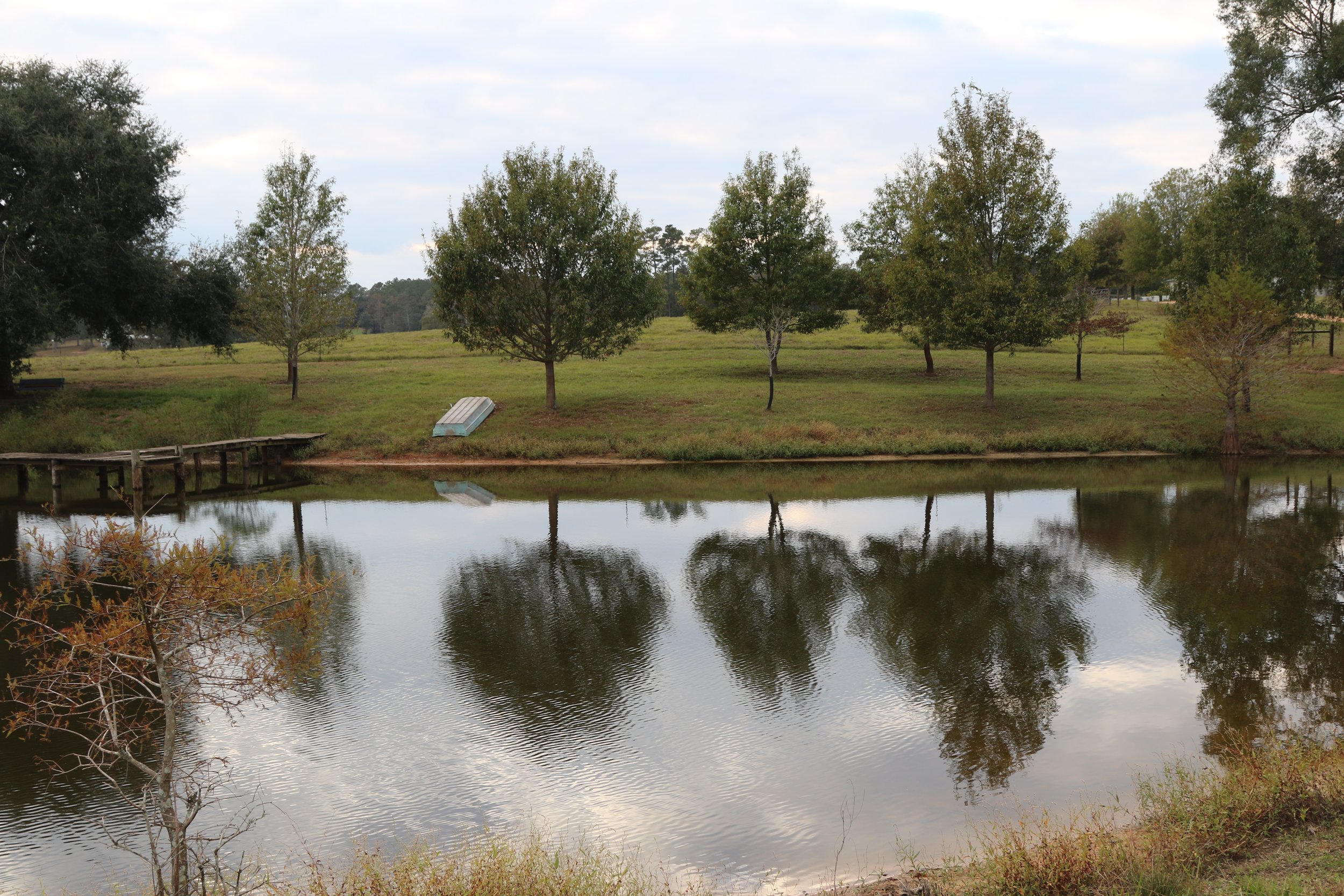 Why Us? — Smith Angus Farm