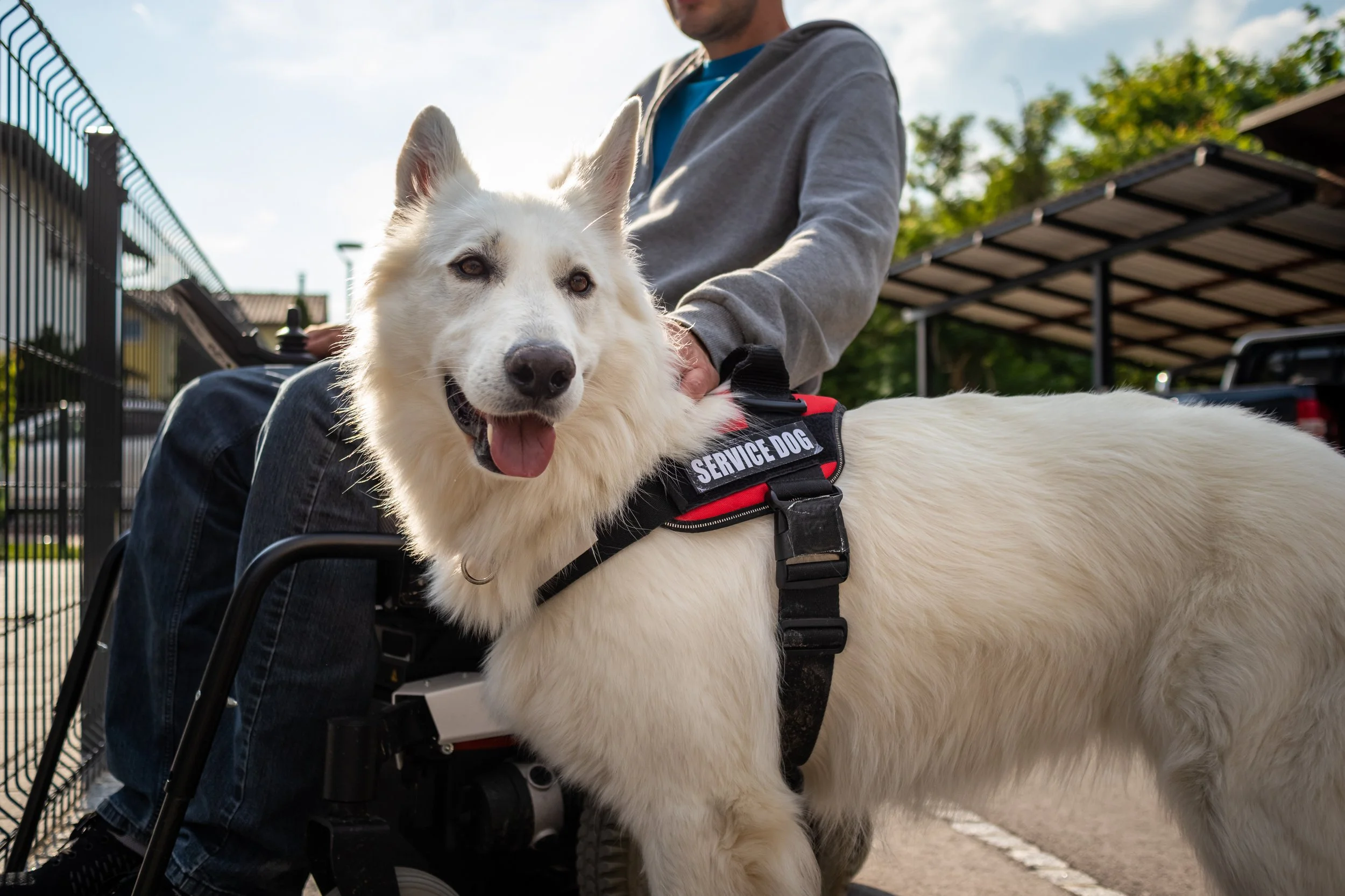 AdobeStock_477048513.jpeg