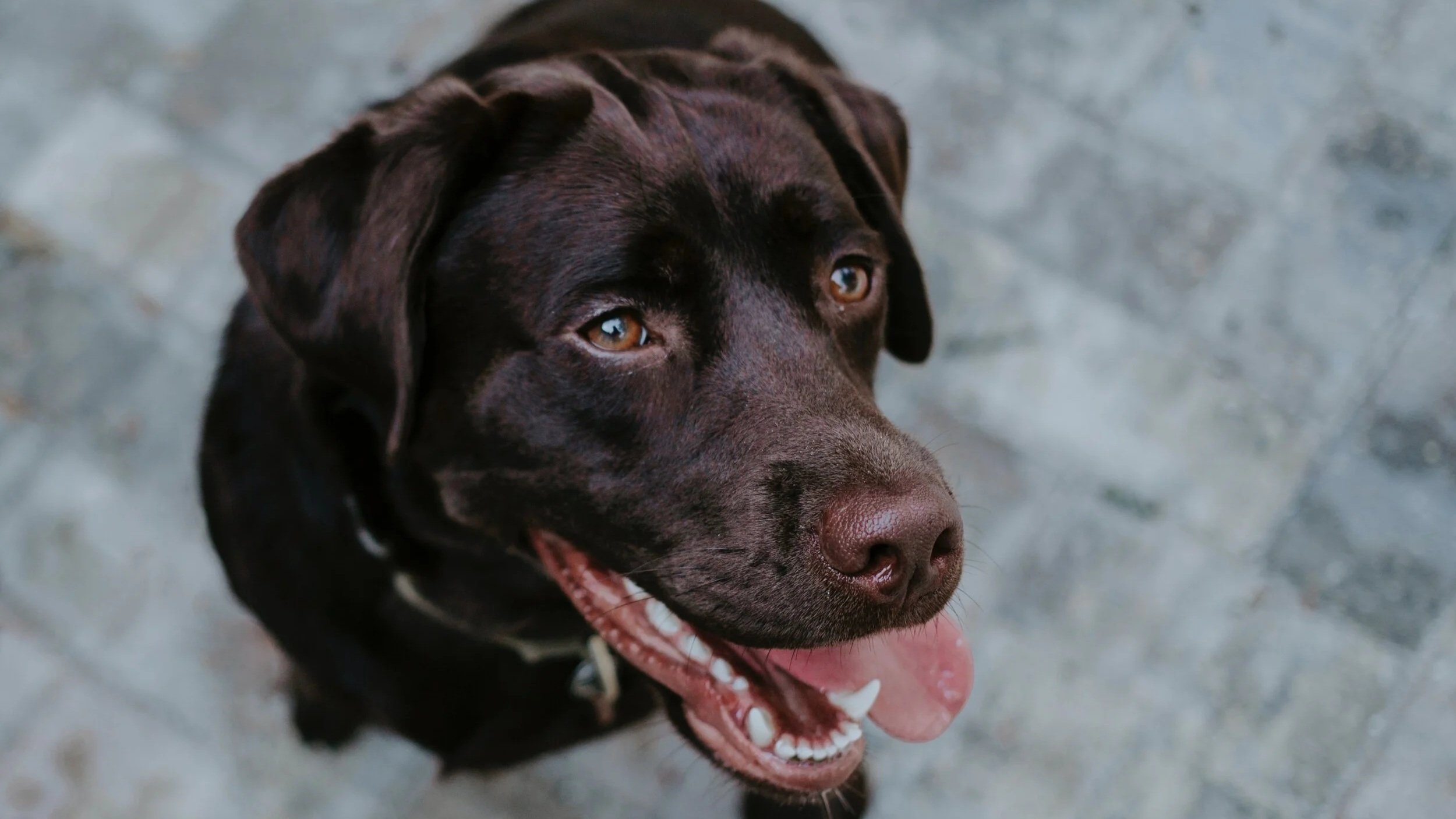 wade-austin-ellis-3DGrnwXZUtg-unsplash.jpg