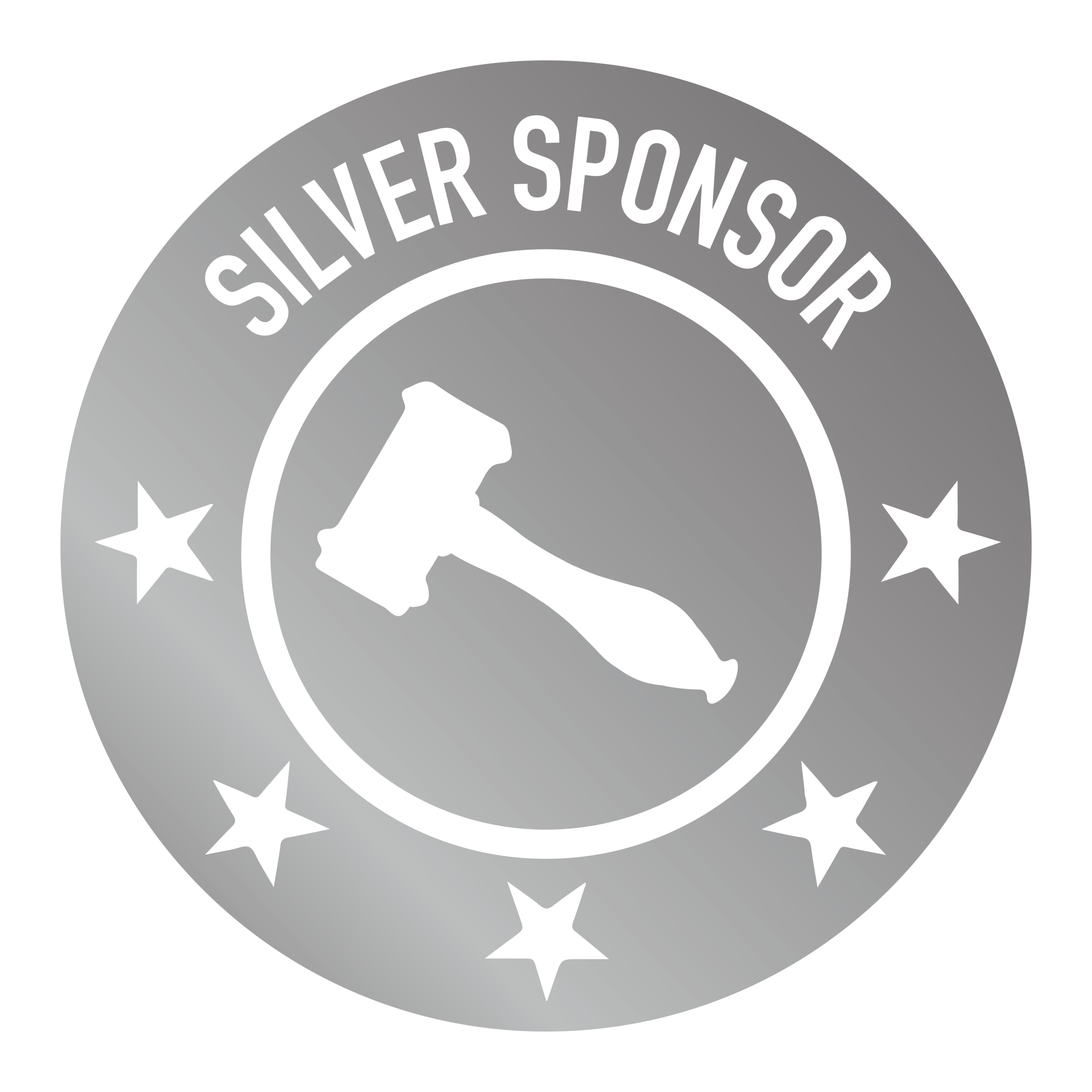 silver sponsor image.png