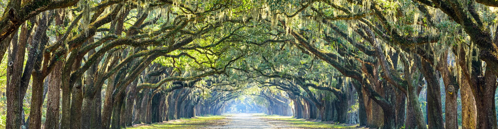 savannah-local-holiday-photographer-wanderloud-banner-image-8_1920x500_page-banner.jpg