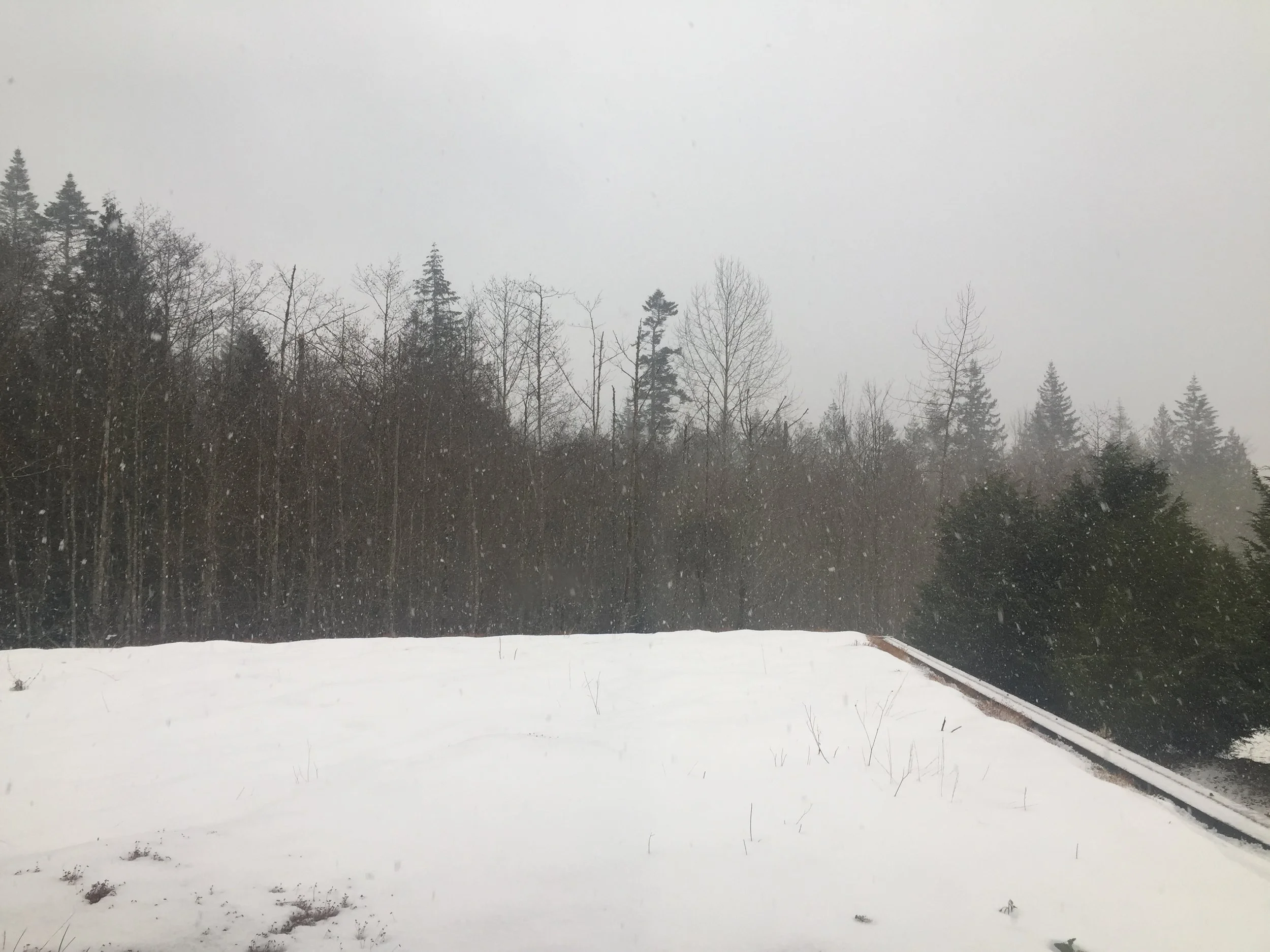 Mid Winter Advice