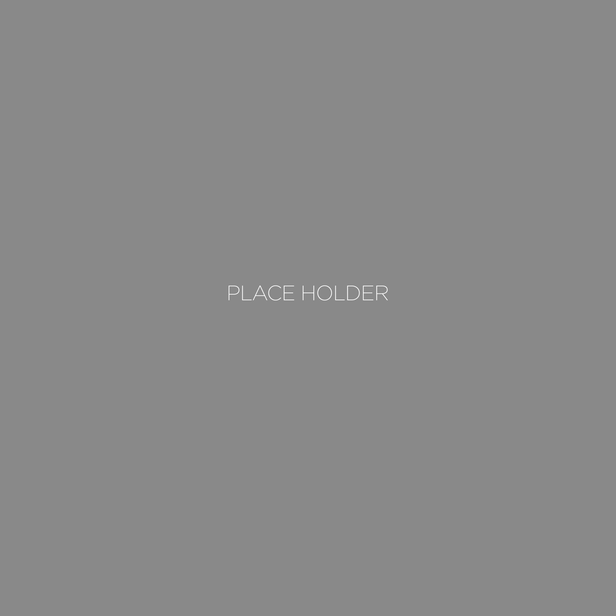 Place-Holder.png
