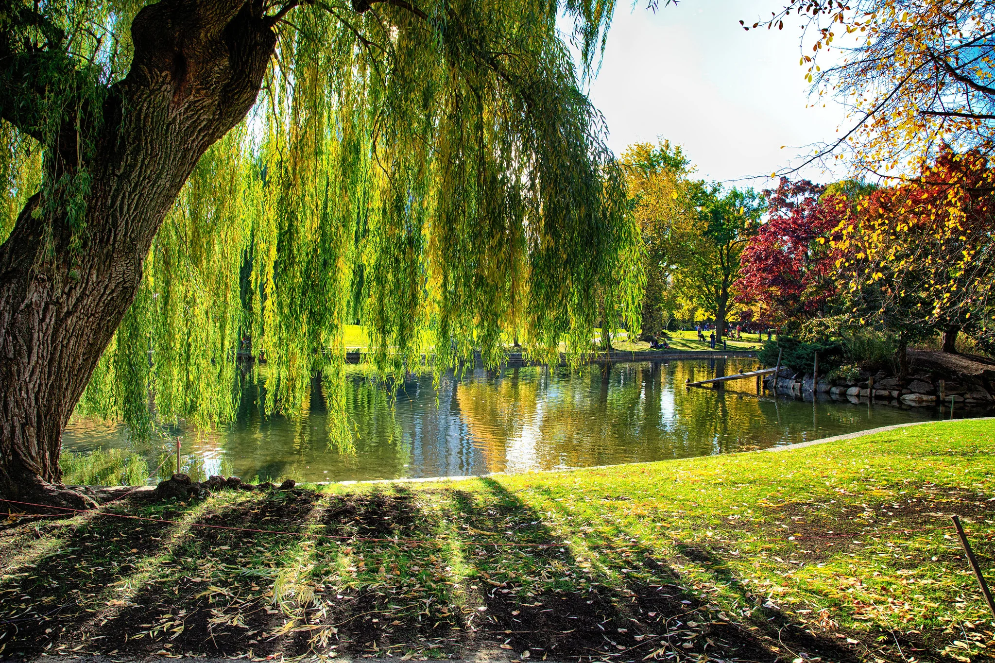 Photo by John Hoey / Creative Commons 2.0