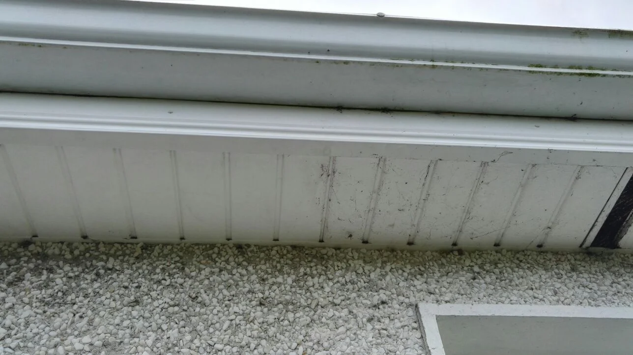 Fascia & Soffit Cleaning