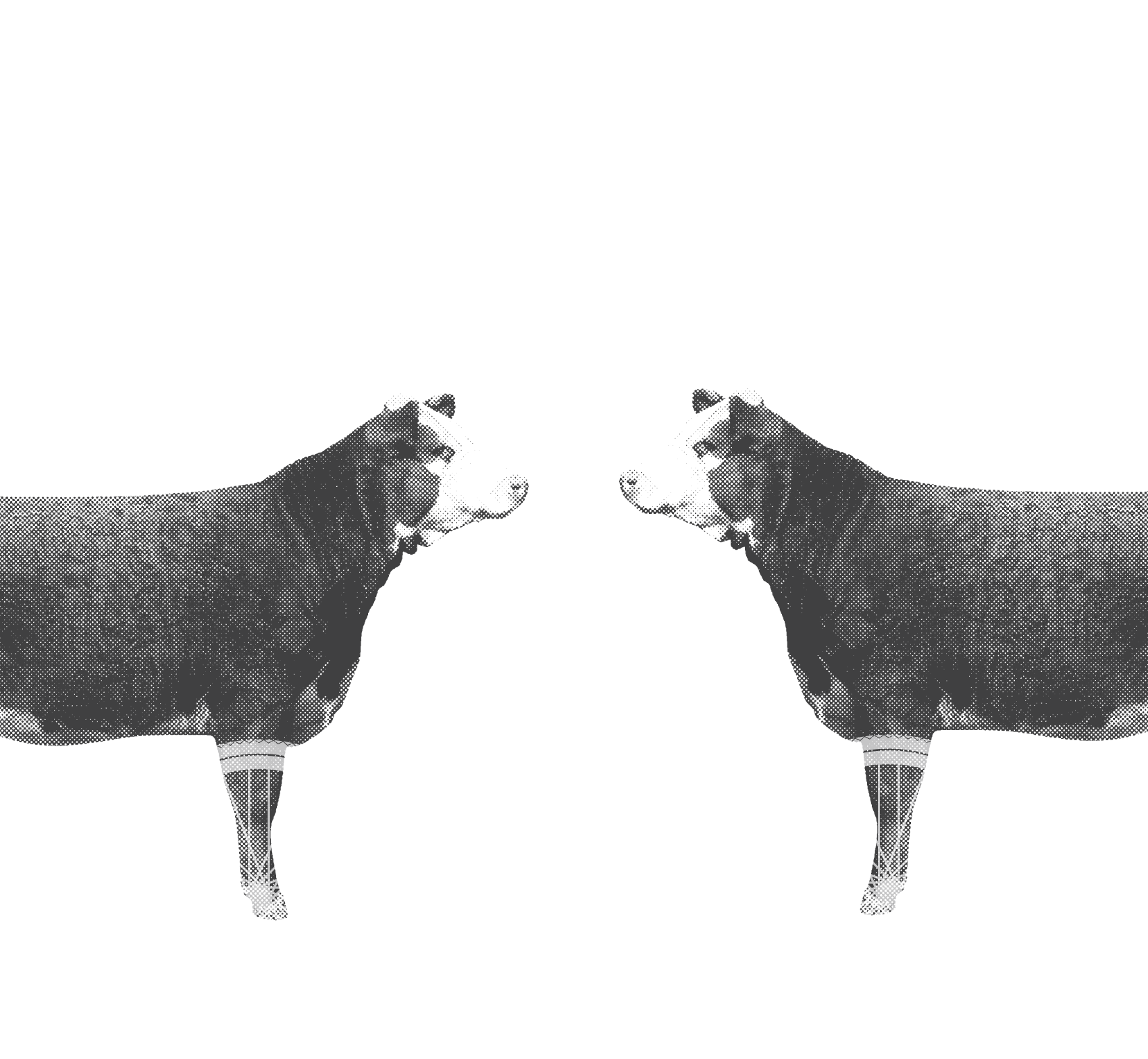gu-cow-bike-wheel-full-pad-top.png