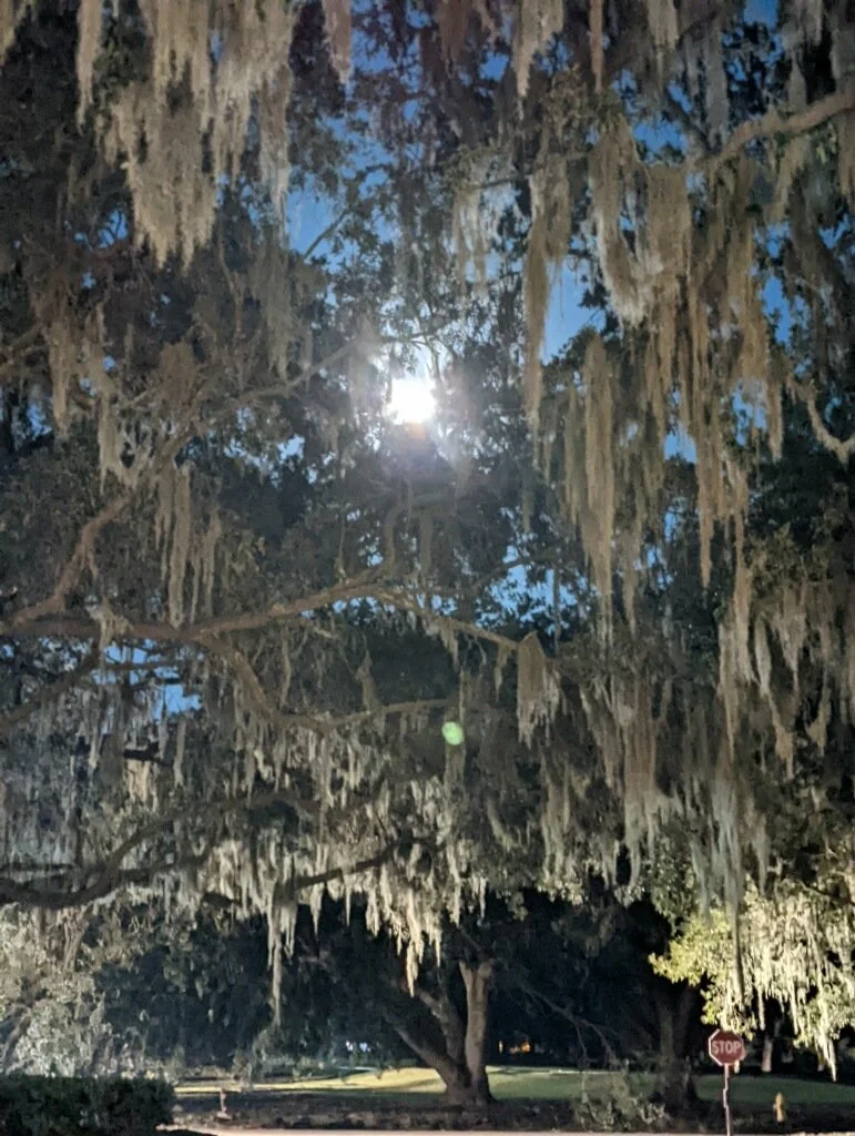 December Newsletter....