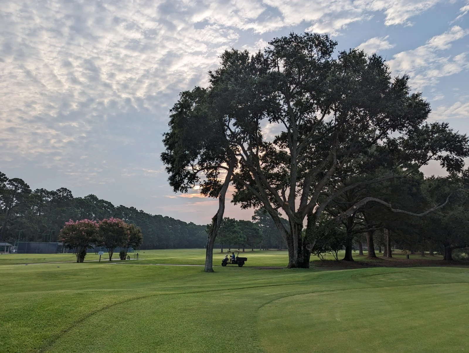 August Newsletter...